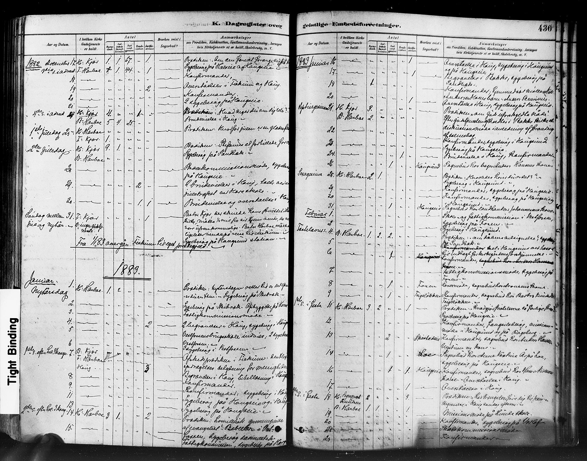 Eiker kirkebøker, AV/SAKO-A-4/F/Fb/L0001: Parish register (official) no. II 1, 1878-1888, p. 436