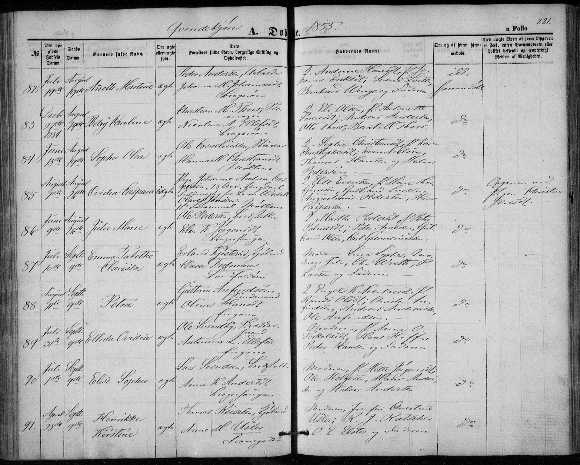 Bragernes kirkebøker, AV/SAKO-A-6/F/Fb/L0002: Parish register (official) no. II 2, 1848-1859, p. 221