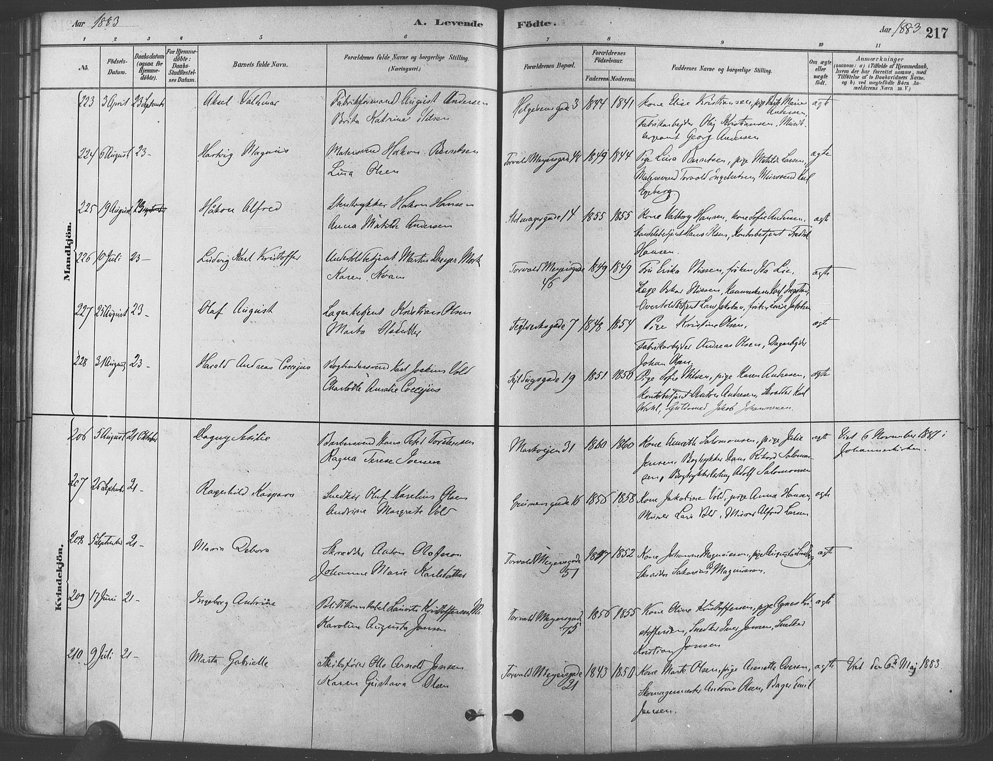 Paulus prestekontor Kirkebøker, AV/SAO-A-10871/F/Fa/L0003: Parish register (official) no. 3, 1879-1887, p. 217