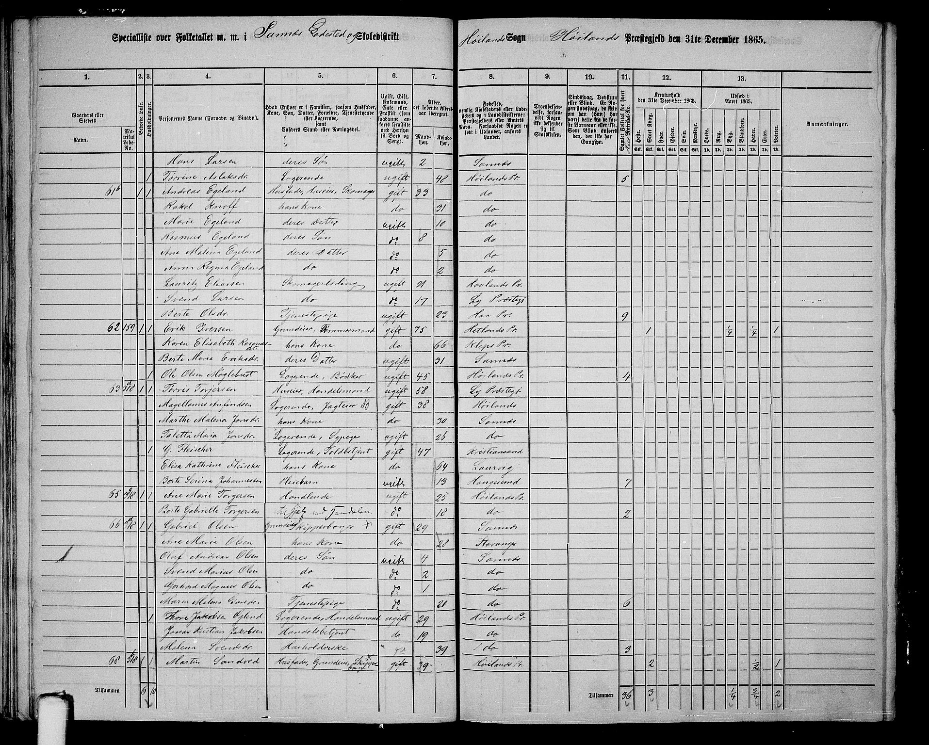 RA, 1865 census for Høyland, 1865, p. 166