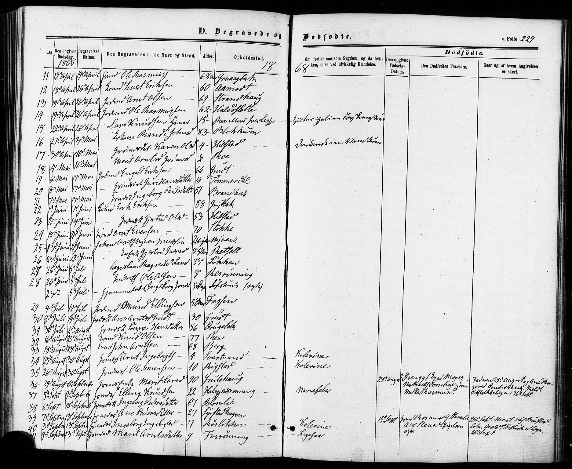 Ministerialprotokoller, klokkerbøker og fødselsregistre - Sør-Trøndelag, SAT/A-1456/672/L0856: Parish register (official) no. 672A08, 1861-1881, p. 229