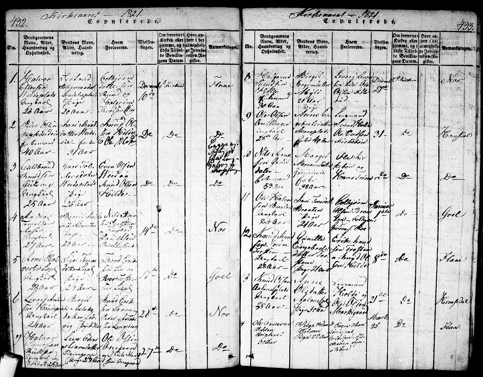 Nes kirkebøker, AV/SAKO-A-236/F/Fa/L0007: Parish register (official) no. 7, 1815-1823, p. 432-433