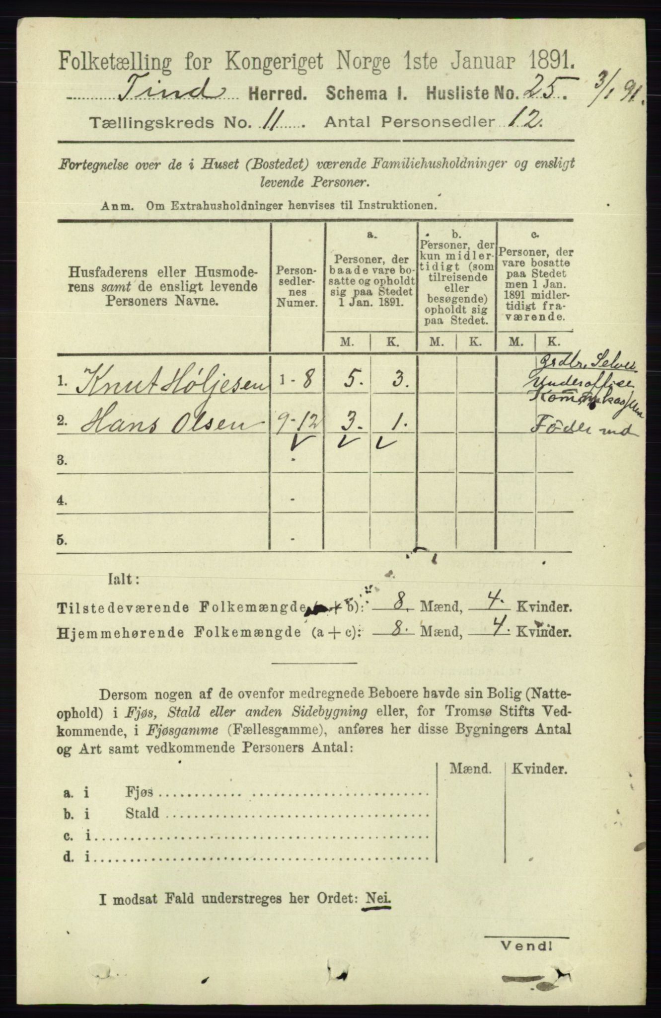 RA, 1891 census for 0826 Tinn, 1891, p. 2117