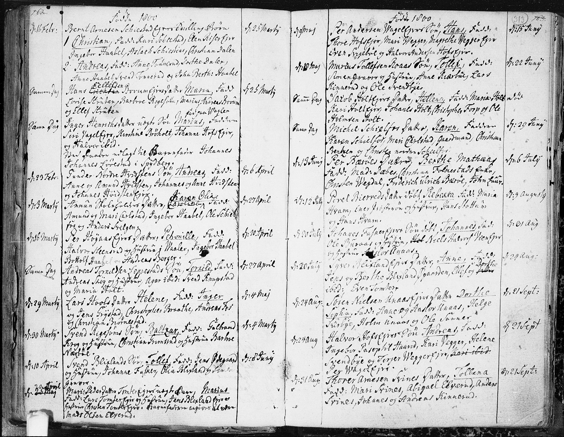 Hobøl prestekontor Kirkebøker, AV/SAO-A-2002/F/Fa/L0001: Parish register (official) no. I 1, 1733-1814, p. 313