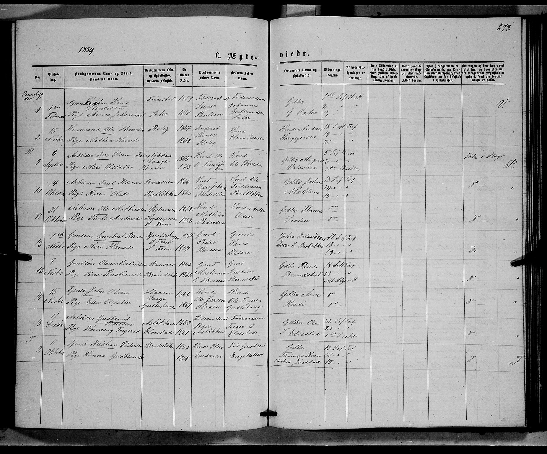 Ringebu prestekontor, SAH/PREST-082/H/Ha/Hab/L0006: Parish register (copy) no. 6, 1880-1898, p. 273