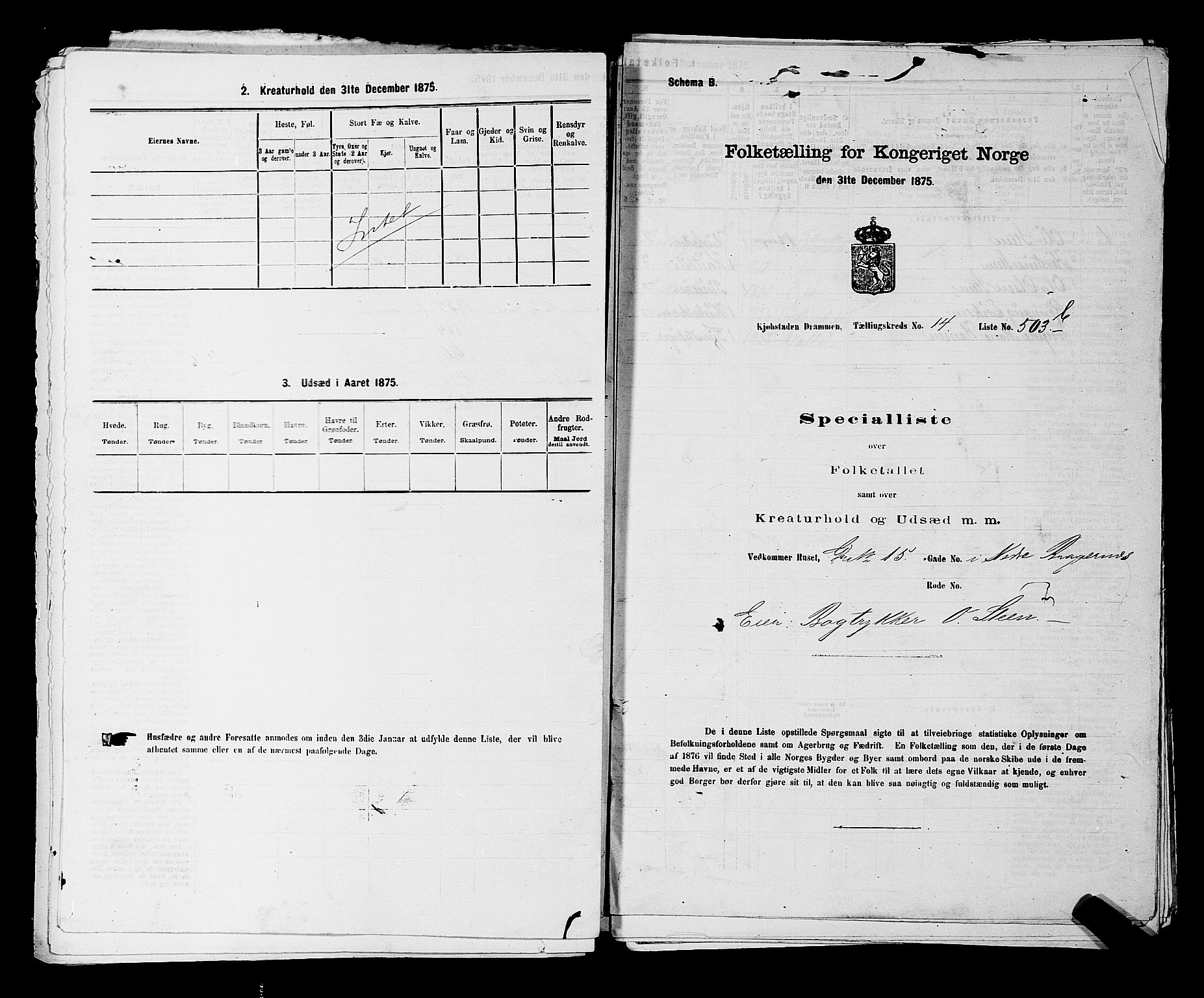 SAKO, 1875 census for 0602 Drammen, 1875, p. 1556