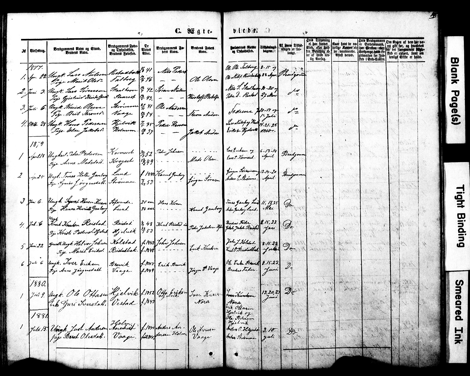 Ministerialprotokoller, klokkerbøker og fødselsregistre - Møre og Romsdal, AV/SAT-A-1454/550/L0618: Parish register (copy) no. 550C01, 1870-1927, p. 195