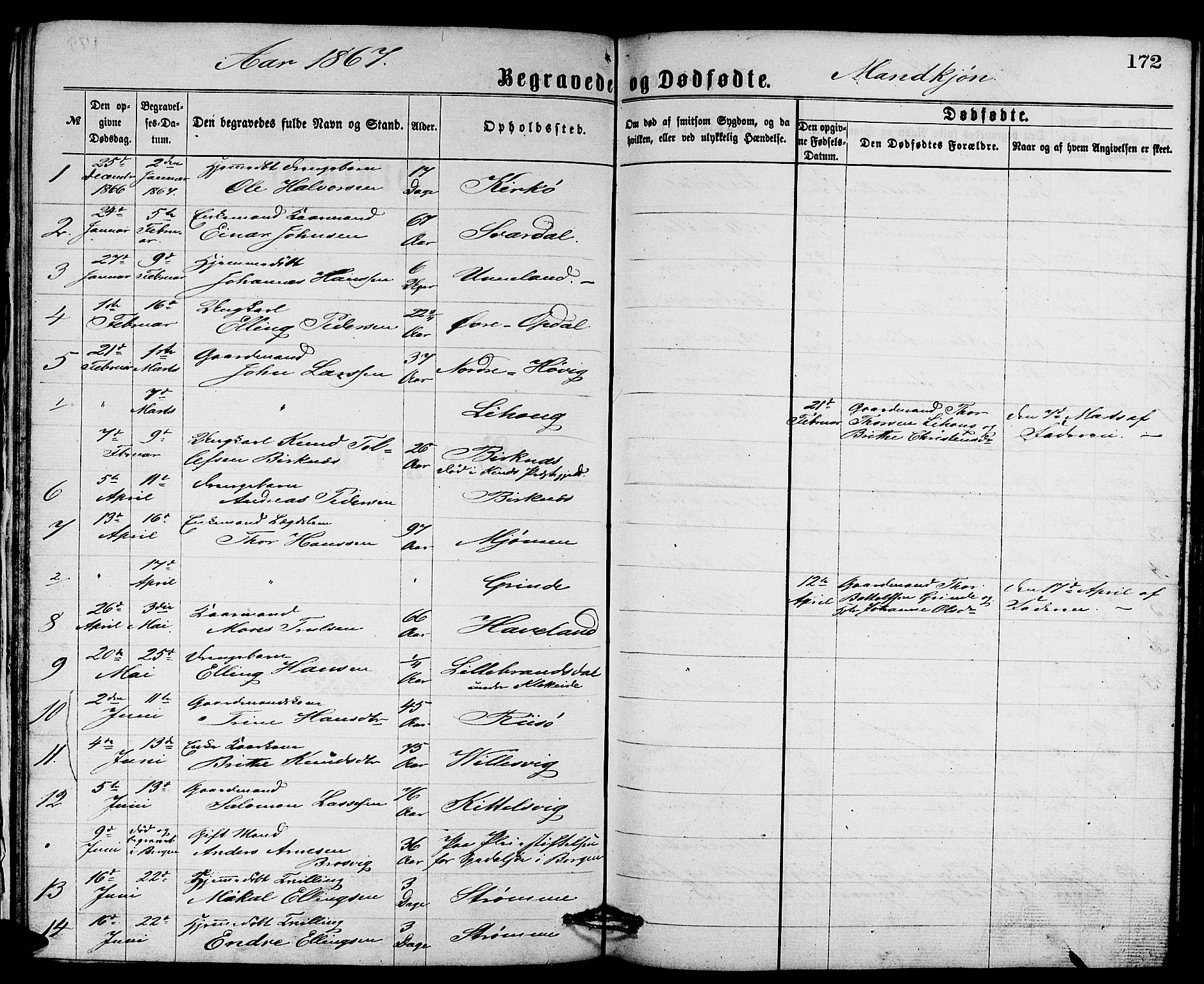 Gulen sokneprestembete, AV/SAB-A-80201/H/Hab/Habb/L0002: Parish register (copy) no. B 2, 1867-1883, p. 172