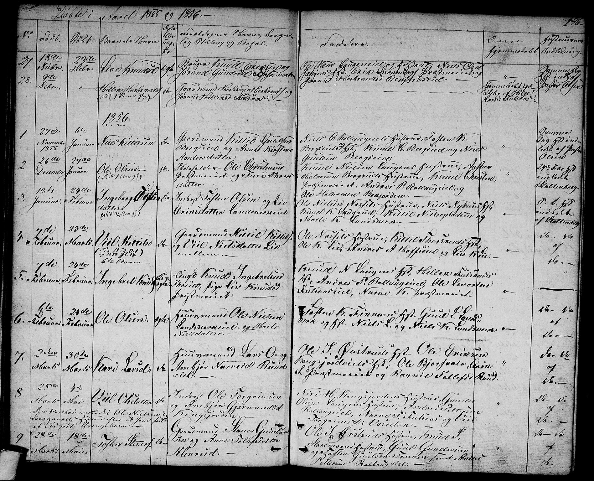 Rollag kirkebøker, AV/SAKO-A-240/G/Ga/L0002: Parish register (copy) no. I 2, 1831-1856, p. 146