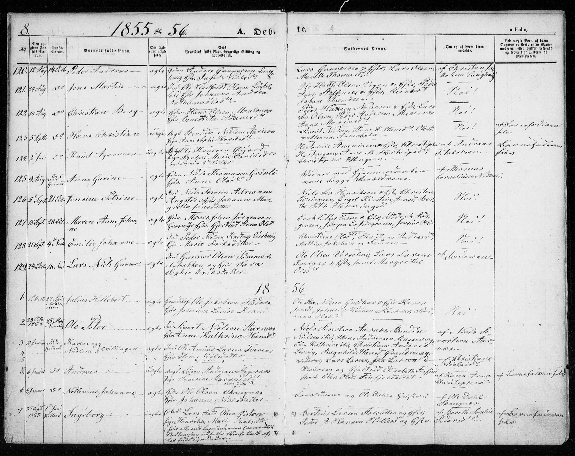 Lenvik sokneprestembete, SATØ/S-1310/H/Ha/Haa/L0007kirke: Parish register (official) no. 7, 1855-1865, p. 8