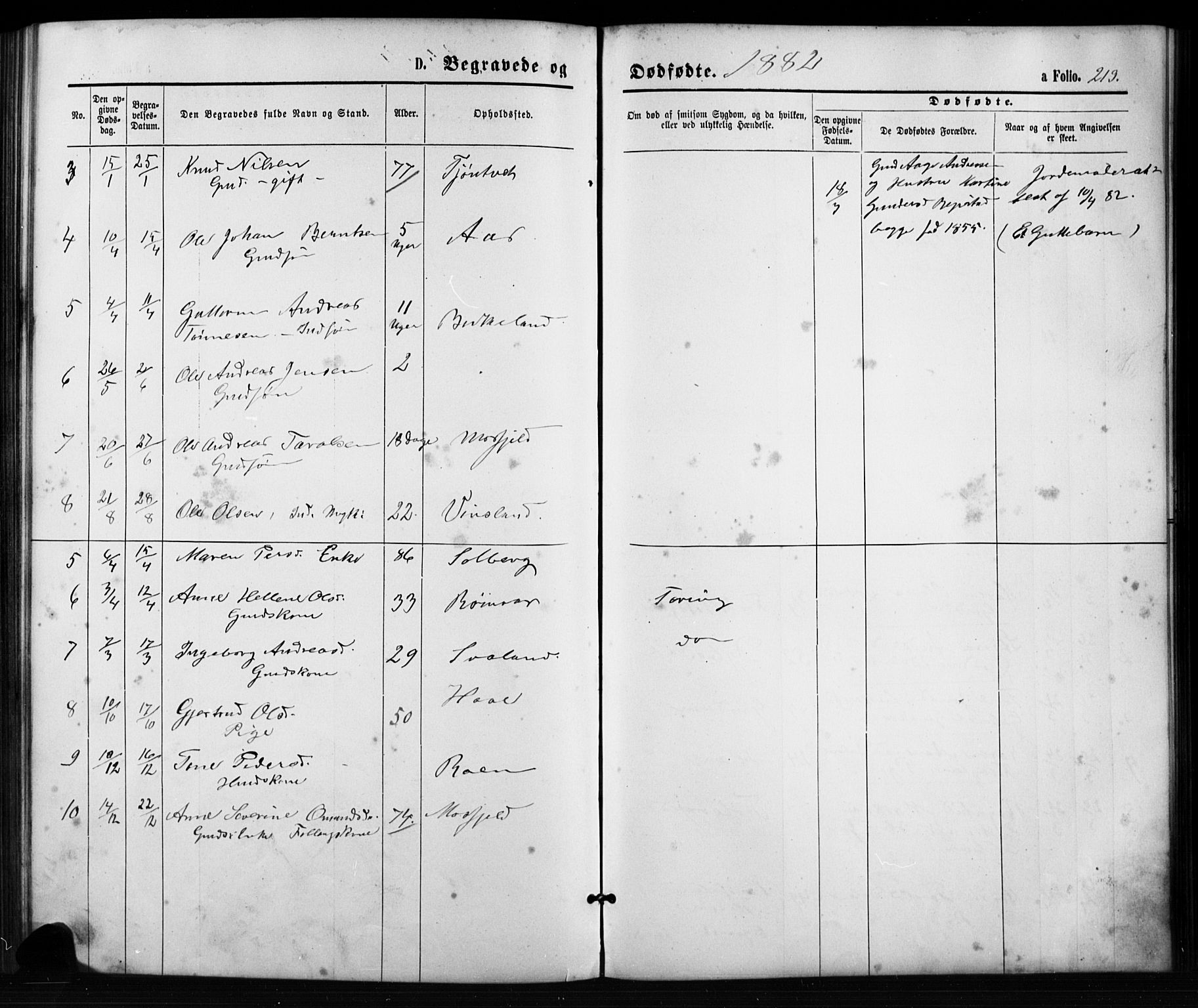 Birkenes sokneprestkontor, AV/SAK-1111-0004/F/Fb/L0003: Parish register (copy) no. B 3, 1876-1892, p. 213