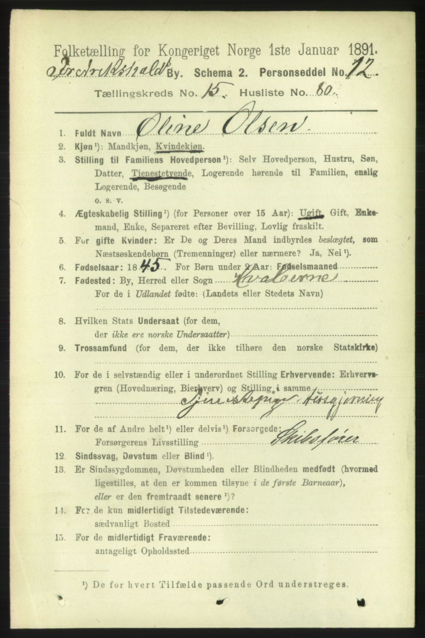 RA, 1891 census for 0101 Fredrikshald, 1891, p. 10379