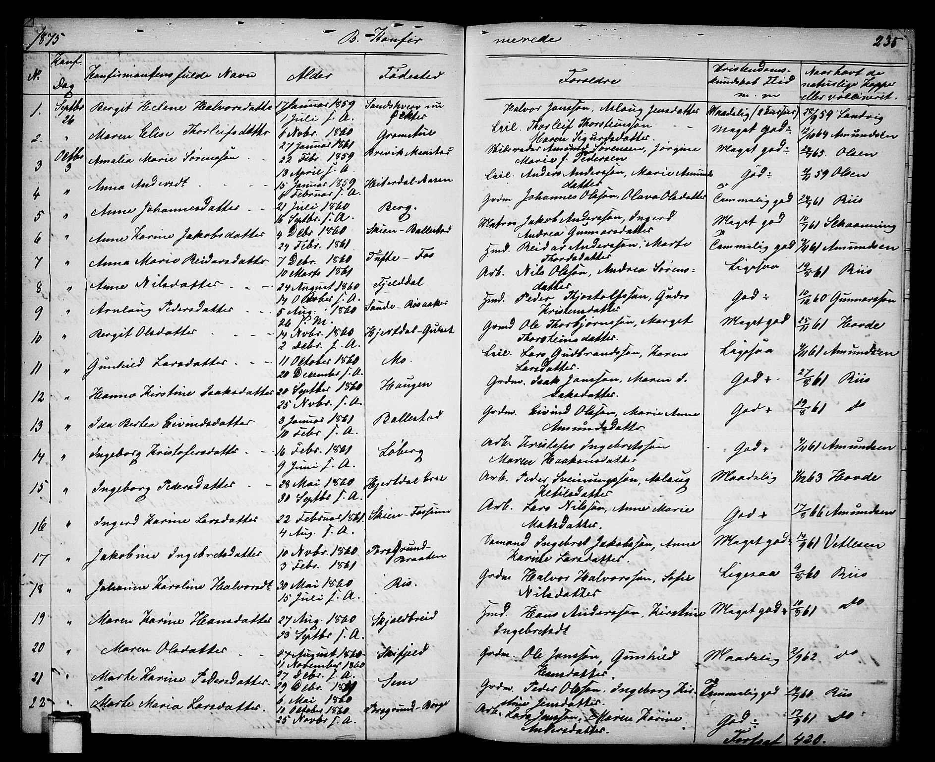 Gjerpen kirkebøker, SAKO/A-265/G/Ga/L0001: Parish register (copy) no. I 1, 1864-1882, p. 235