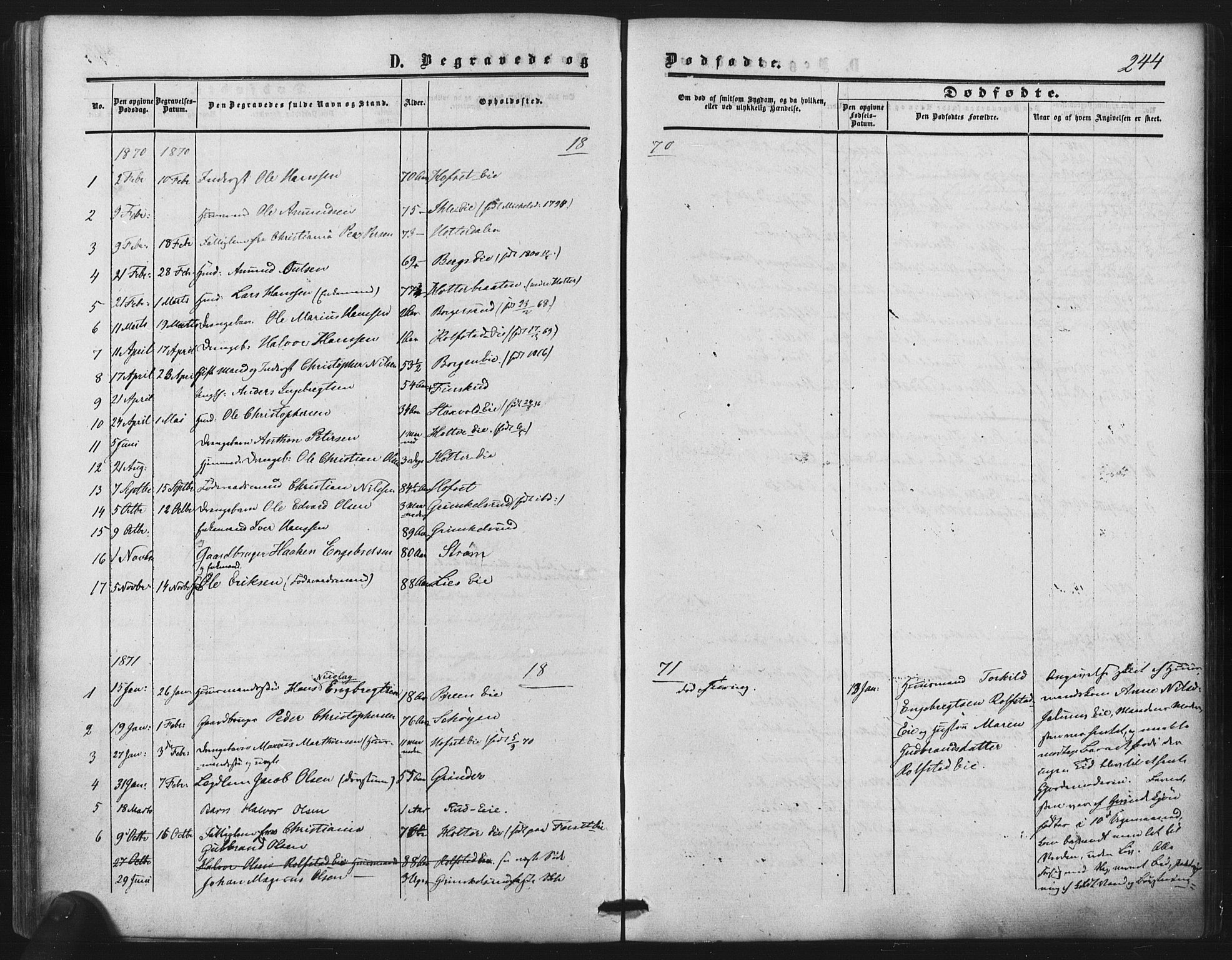 Nes prestekontor Kirkebøker, SAO/A-10410/F/Fb/L0001: Parish register (official) no. II 1, 1859-1882, p. 244