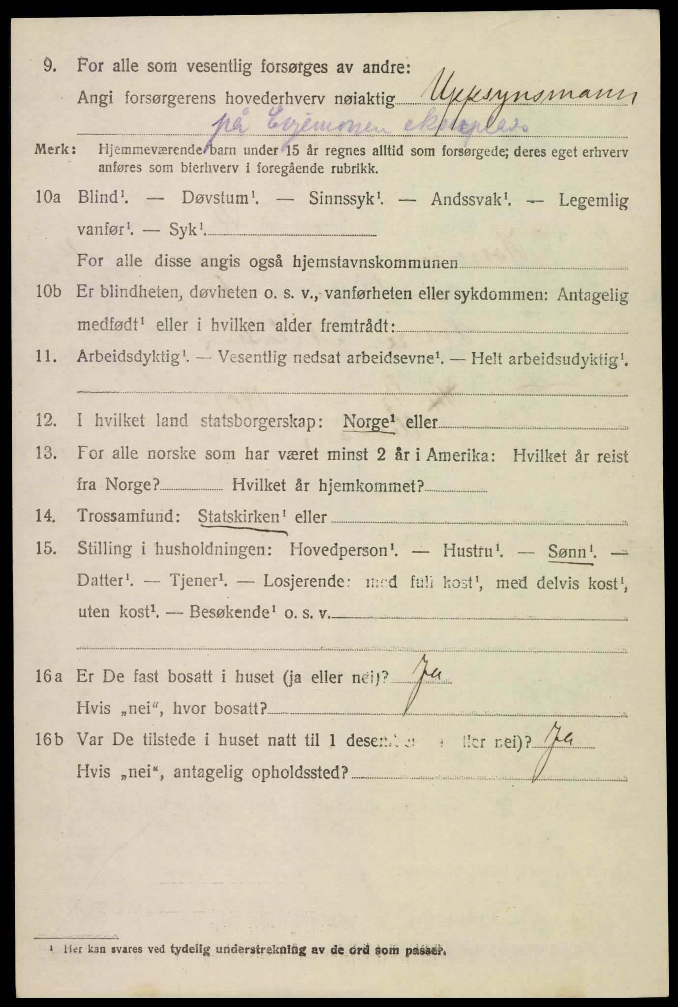 SAK, 1920 census for Hornnes, 1920, p. 1332