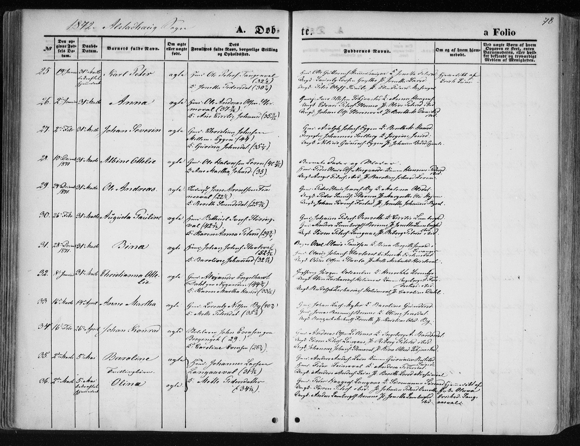 Ministerialprotokoller, klokkerbøker og fødselsregistre - Nord-Trøndelag, AV/SAT-A-1458/717/L0157: Parish register (official) no. 717A08 /1, 1863-1877, p. 78