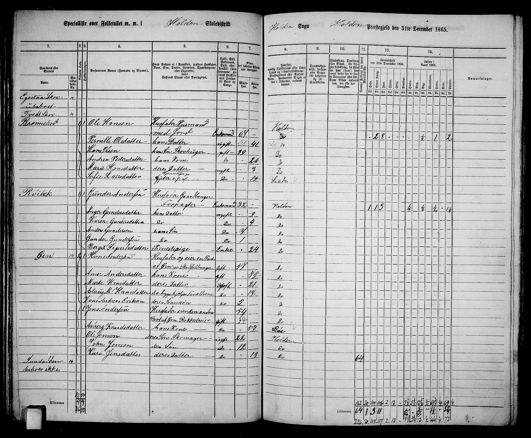 RA, 1865 census for Holla, 1865, p. 37