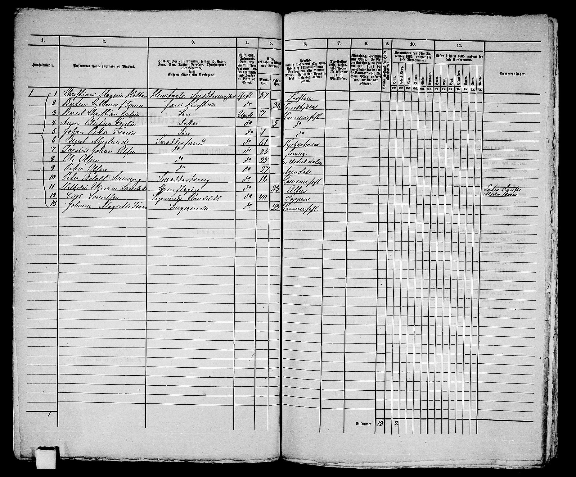 RA, 1865 census for Hammerfest/Hammerfest, 1865, p. 184