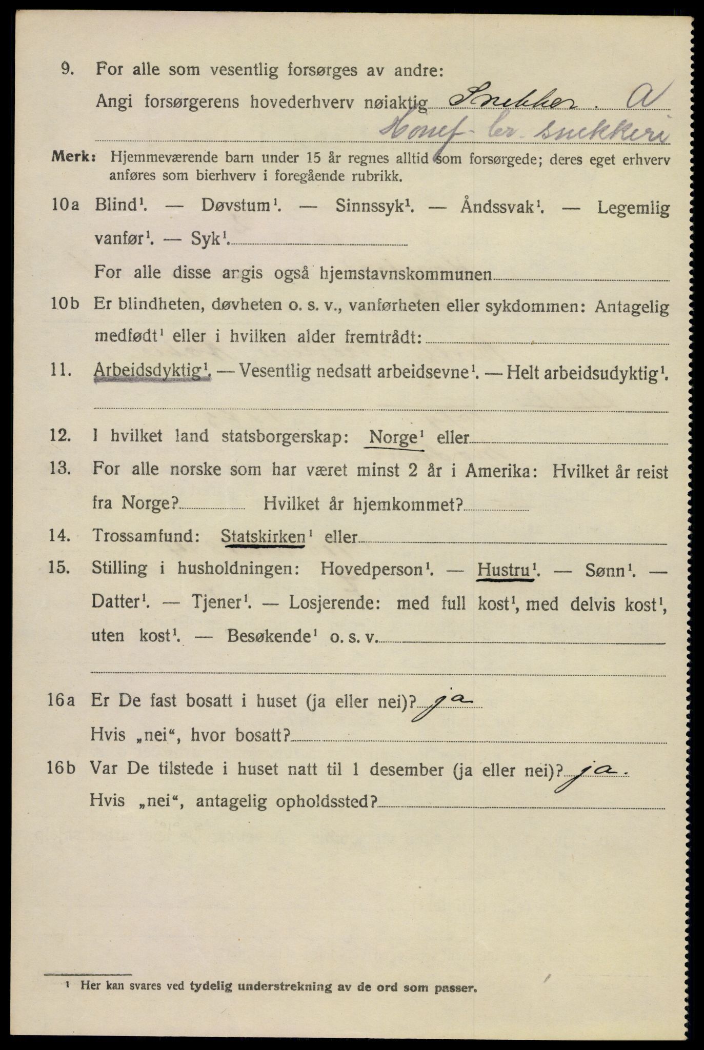 SAKO, 1920 census for Hønefoss, 1920, p. 3257