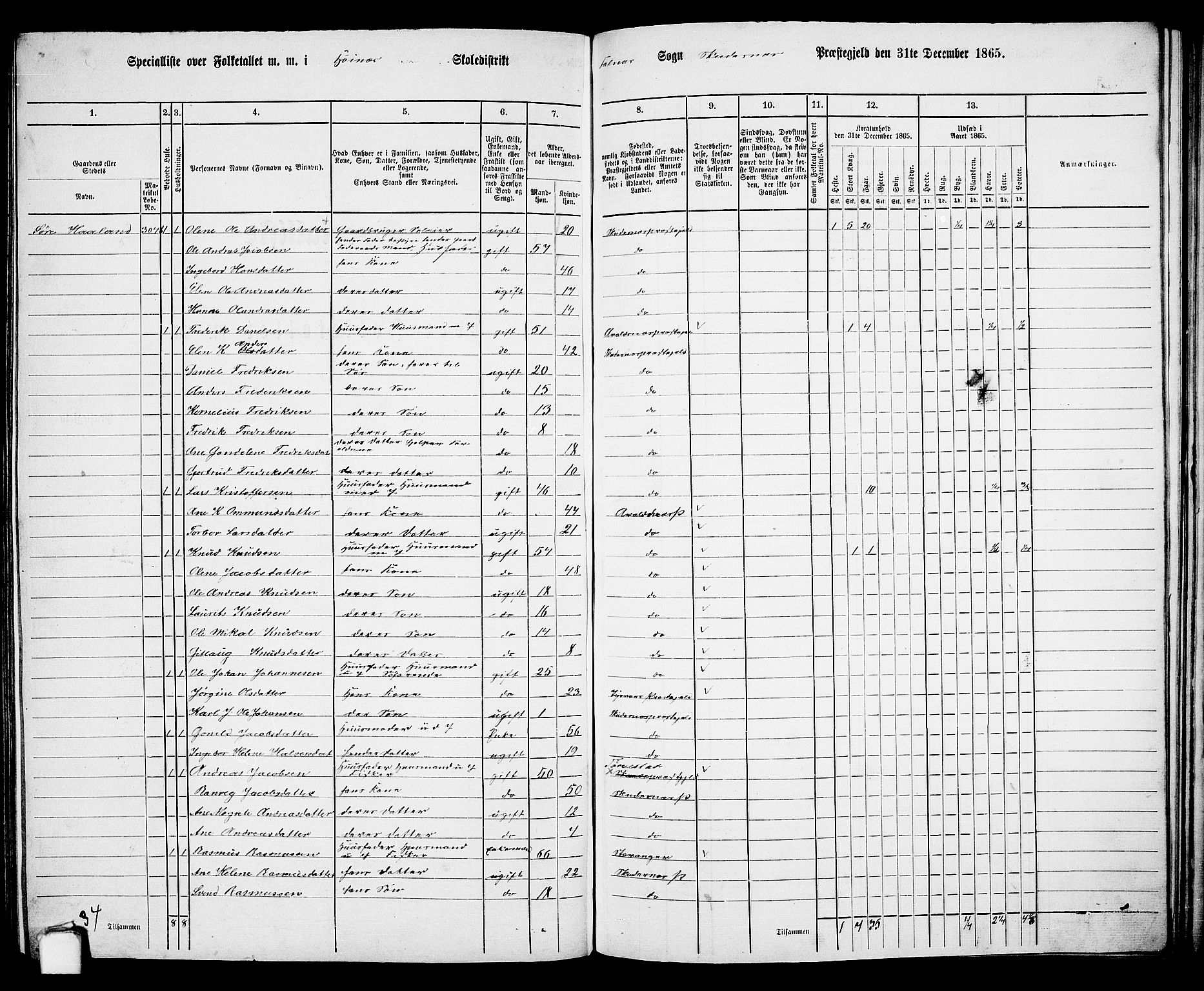 RA, 1865 census for Skudenes, 1865, p. 155