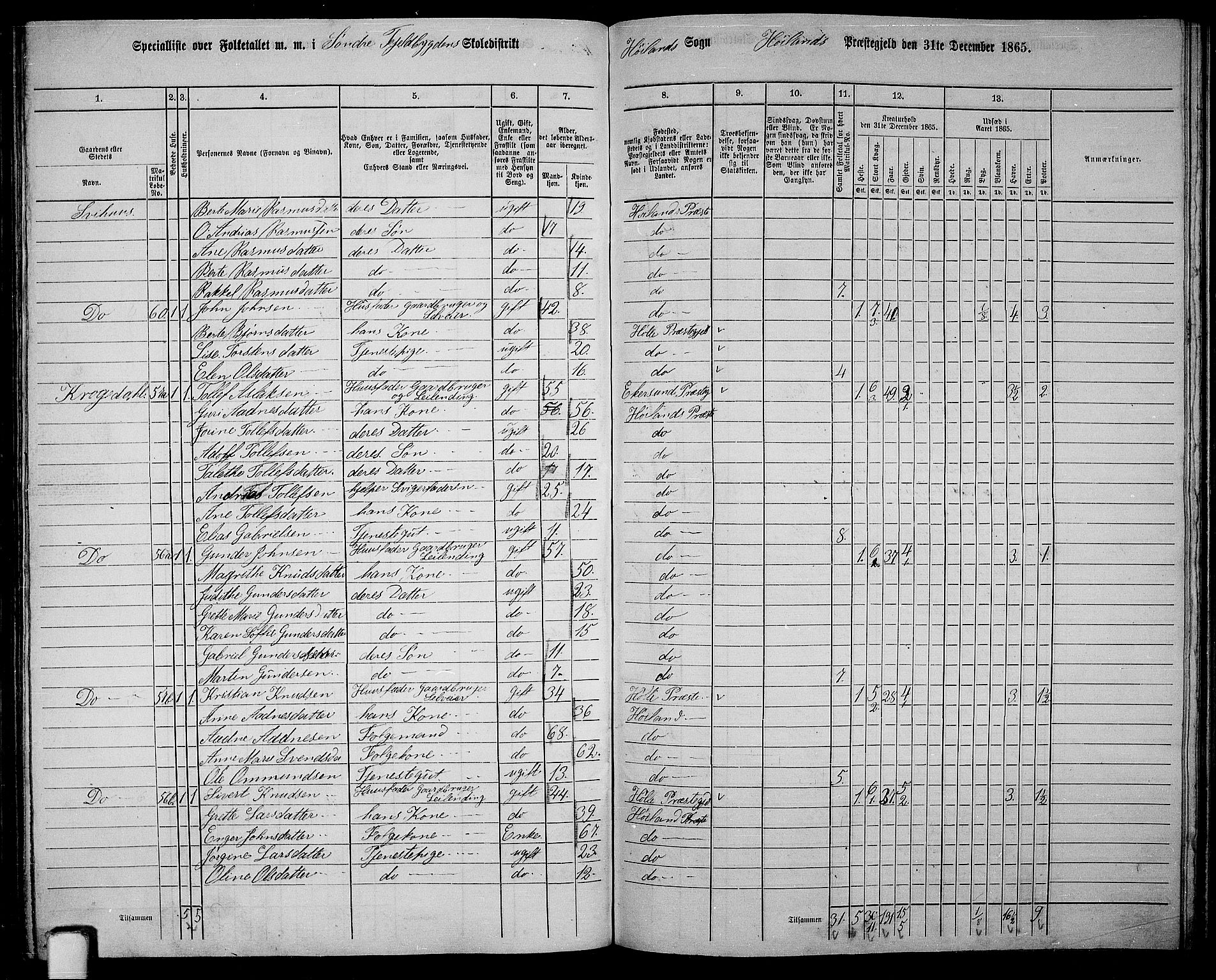 RA, 1865 census for Høyland, 1865, p. 113