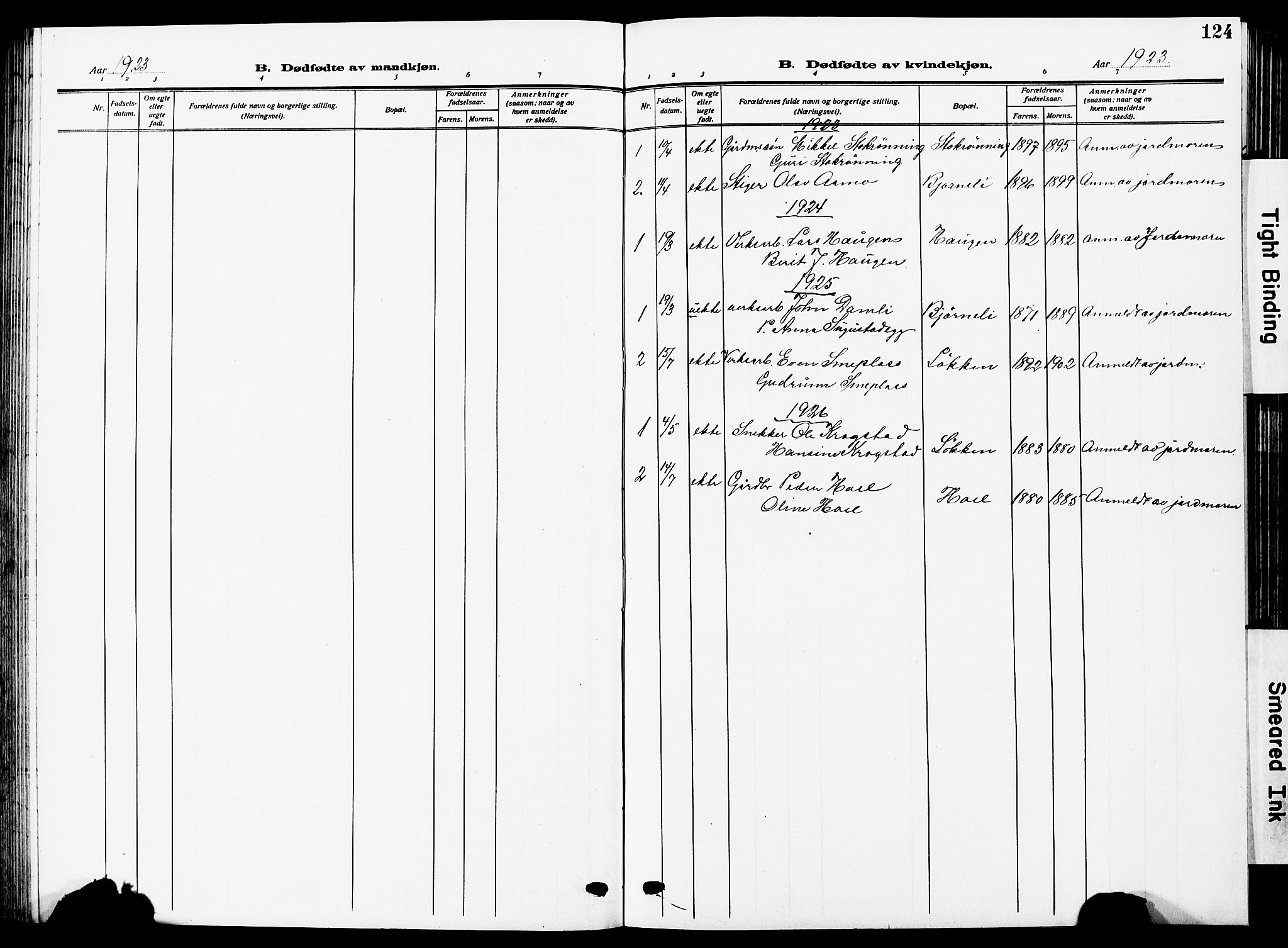 Ministerialprotokoller, klokkerbøker og fødselsregistre - Sør-Trøndelag, SAT/A-1456/672/L0865: Parish register (copy) no. 672C04, 1914-1928, p. 124