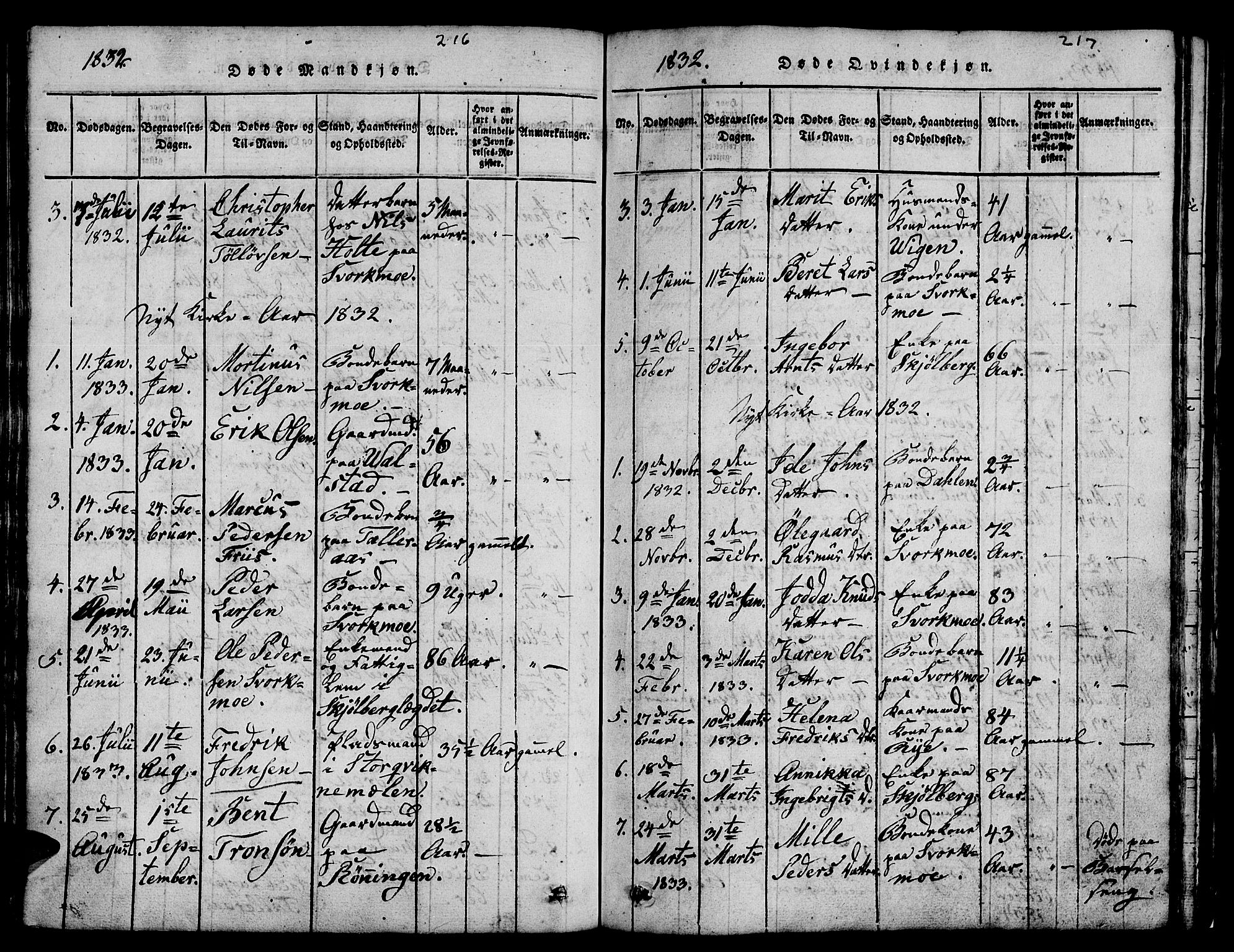 Ministerialprotokoller, klokkerbøker og fødselsregistre - Sør-Trøndelag, SAT/A-1456/671/L0842: Parish register (copy) no. 671C01, 1816-1867, p. 216-217