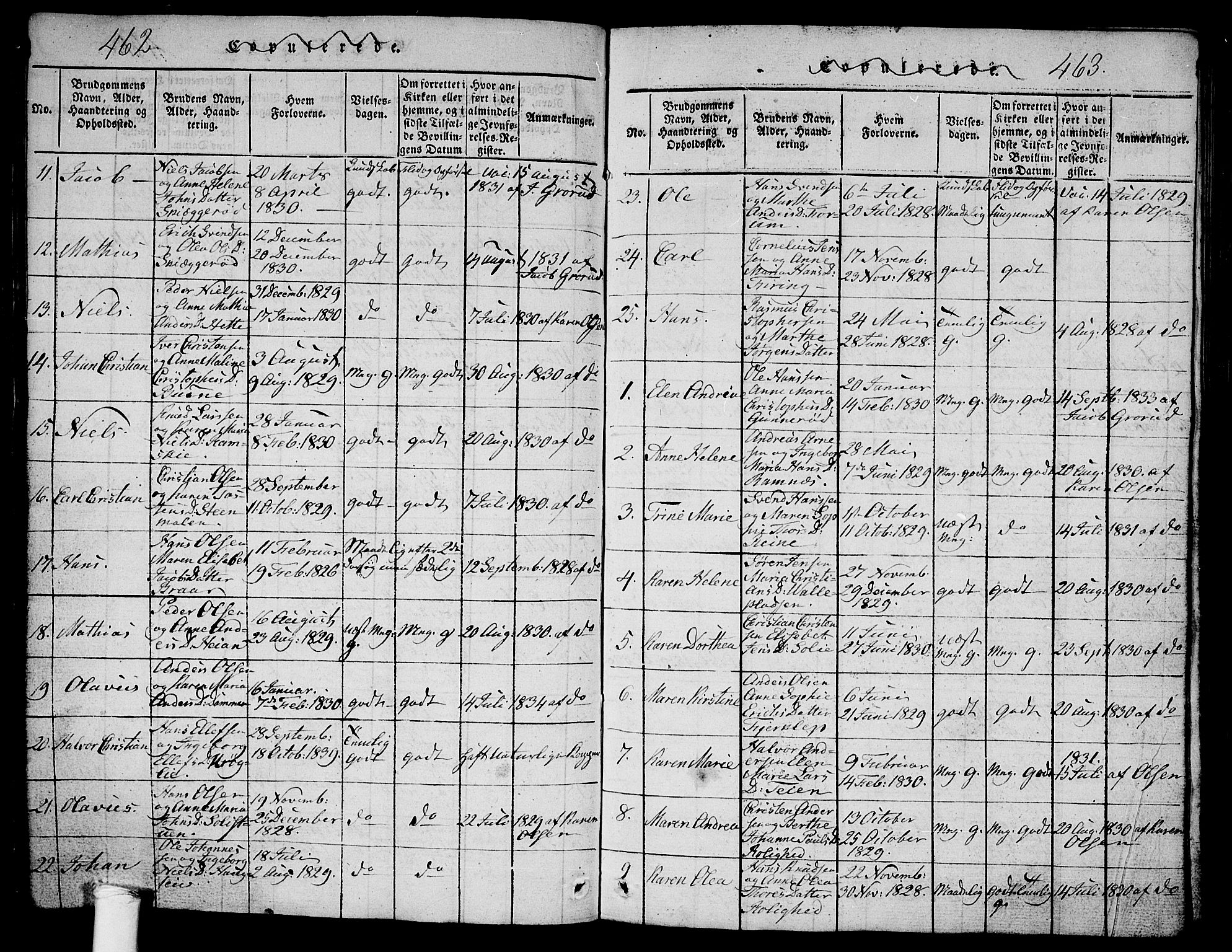 Ramnes kirkebøker, SAKO/A-314/G/Ga/L0001: Parish register (copy) no. I 1, 1813-1847, p. 462-463
