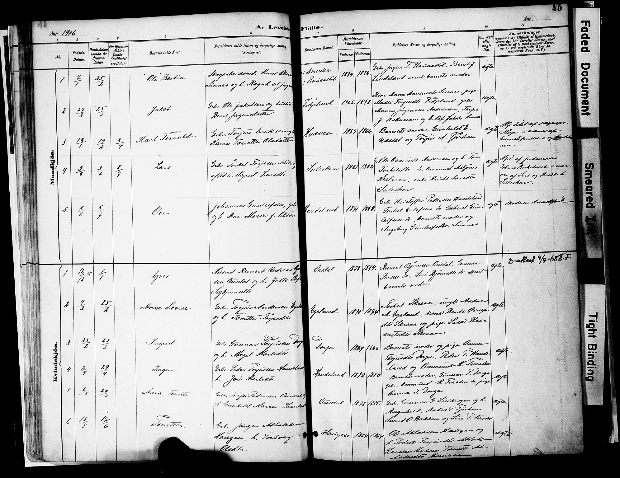 Sirdal sokneprestkontor, AV/SAK-1111-0036/F/Fa/Faa/L0001: Parish register (official) no. A 1, 1887-1910, p. 45