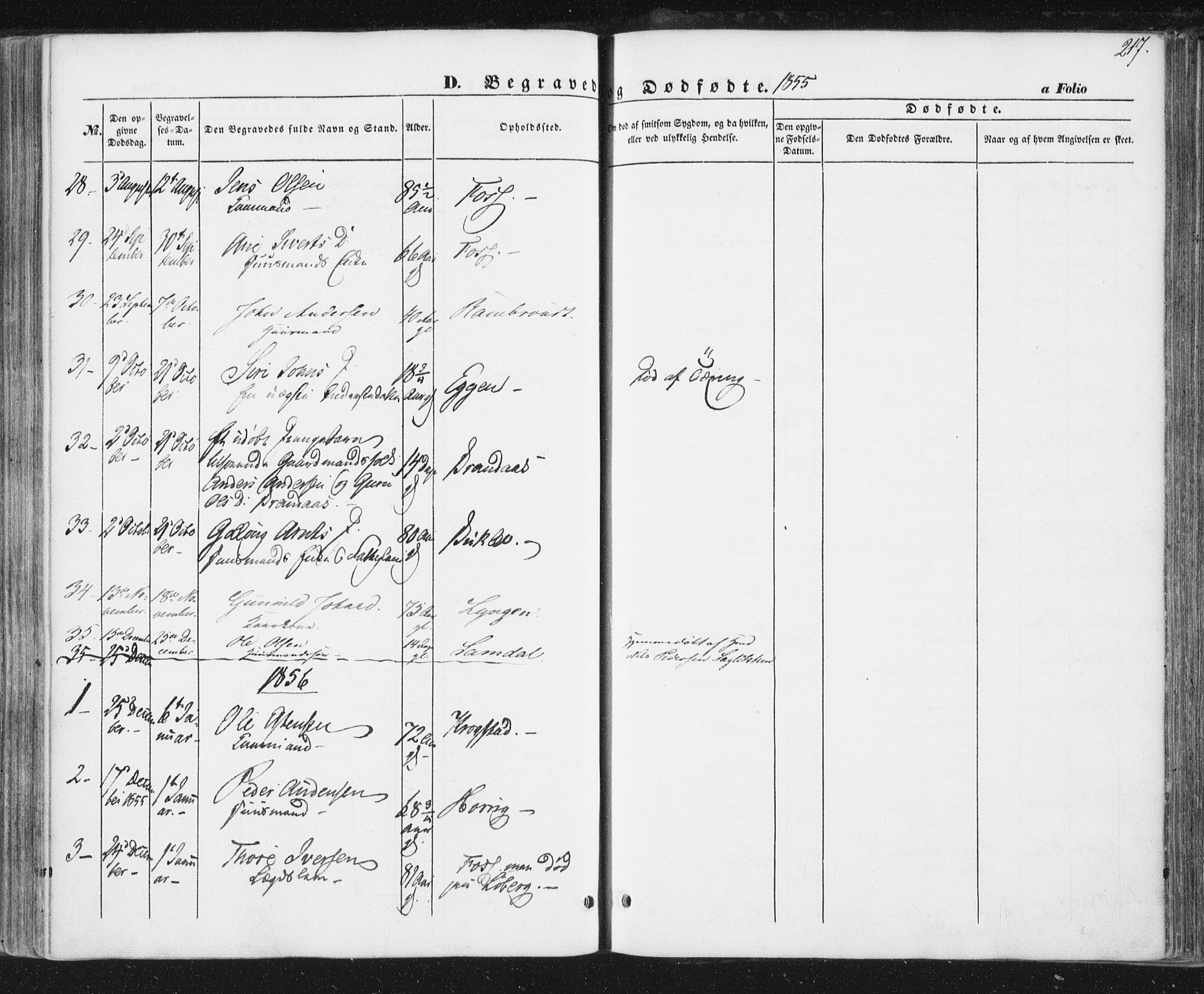 Ministerialprotokoller, klokkerbøker og fødselsregistre - Sør-Trøndelag, SAT/A-1456/692/L1103: Parish register (official) no. 692A03, 1849-1870, p. 217