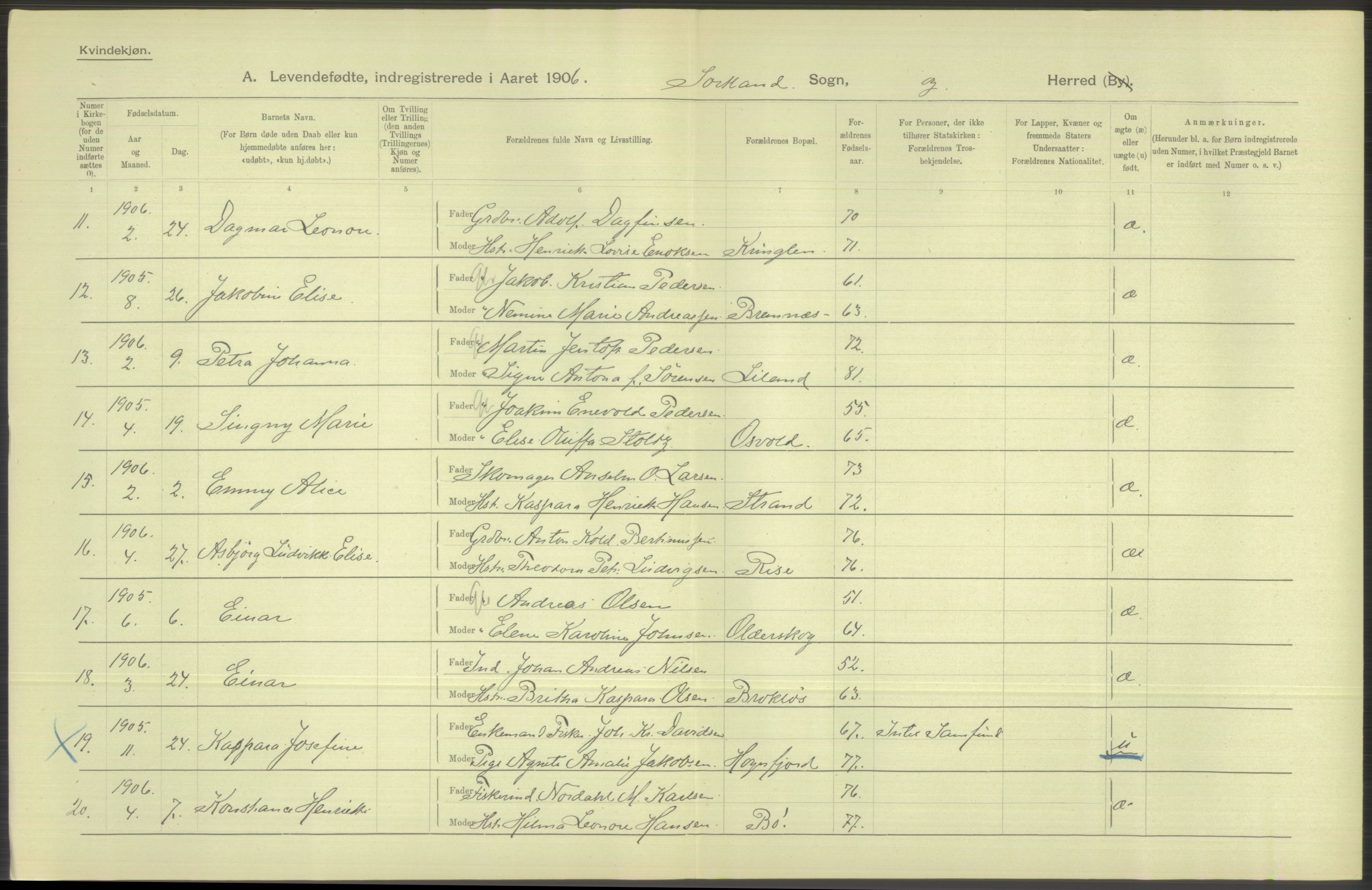 Statistisk sentralbyrå, Sosiodemografiske emner, Befolkning, AV/RA-S-2228/D/Df/Dfa/Dfad/L0044: Nordlands amt: Levendefødte menn og kvinner. Bygder., 1906, p. 28