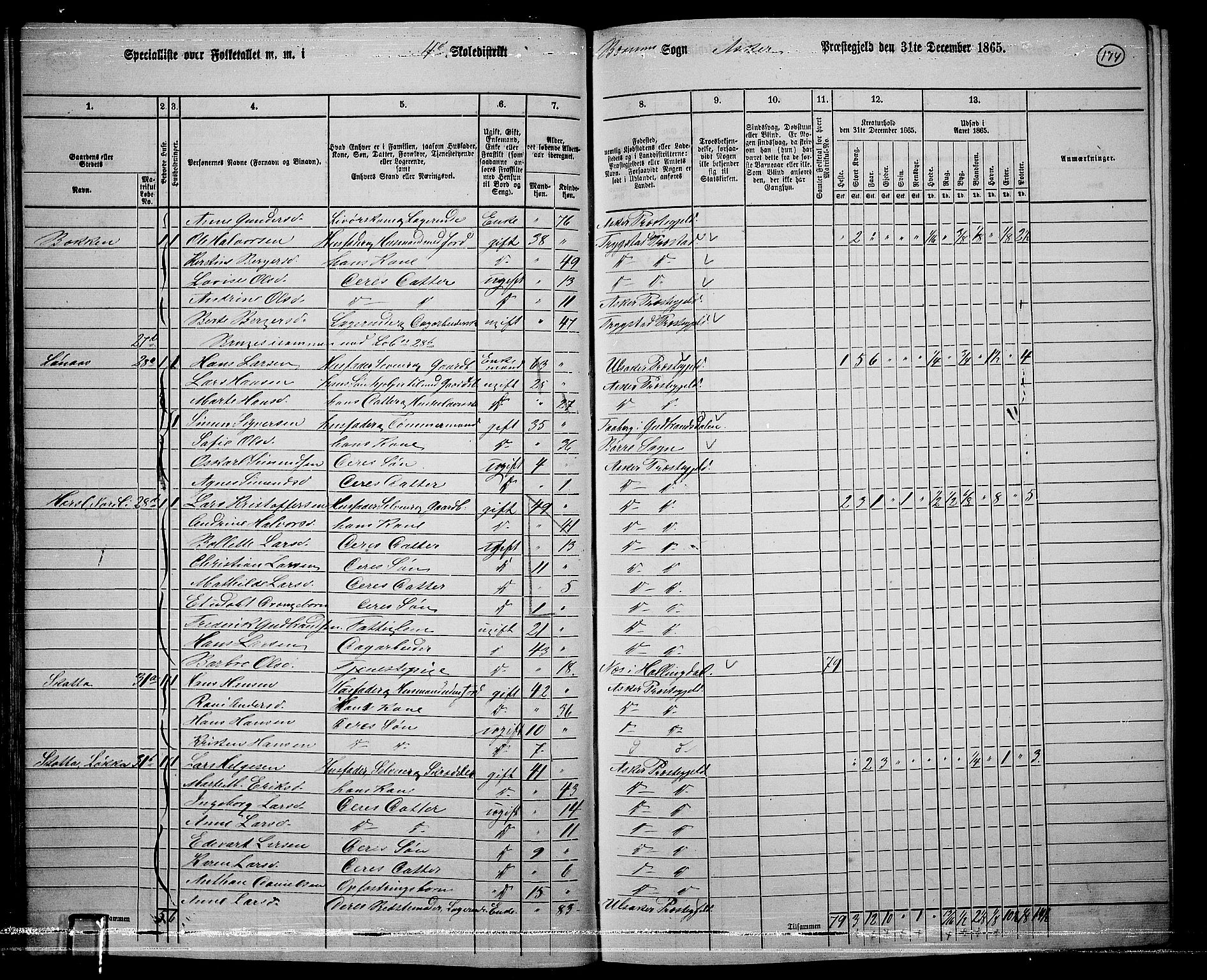 RA, 1865 census for Asker, 1865, p. 171