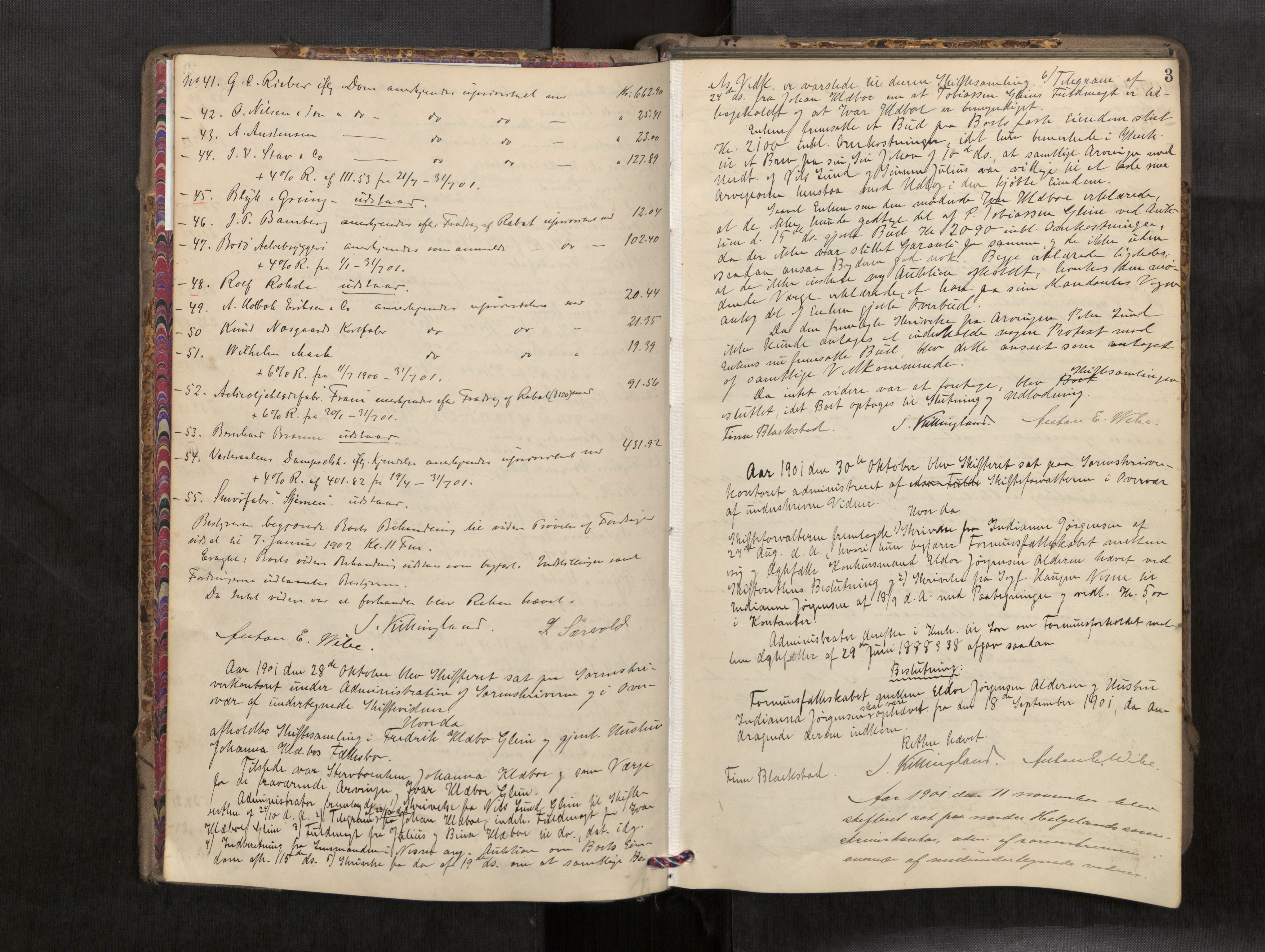 Rana sorenskriveri , AV/SAT-A-1108/1/3/3B/L0007: Skiftebehandlingsprotokoll, 1901-1909, p. 3
