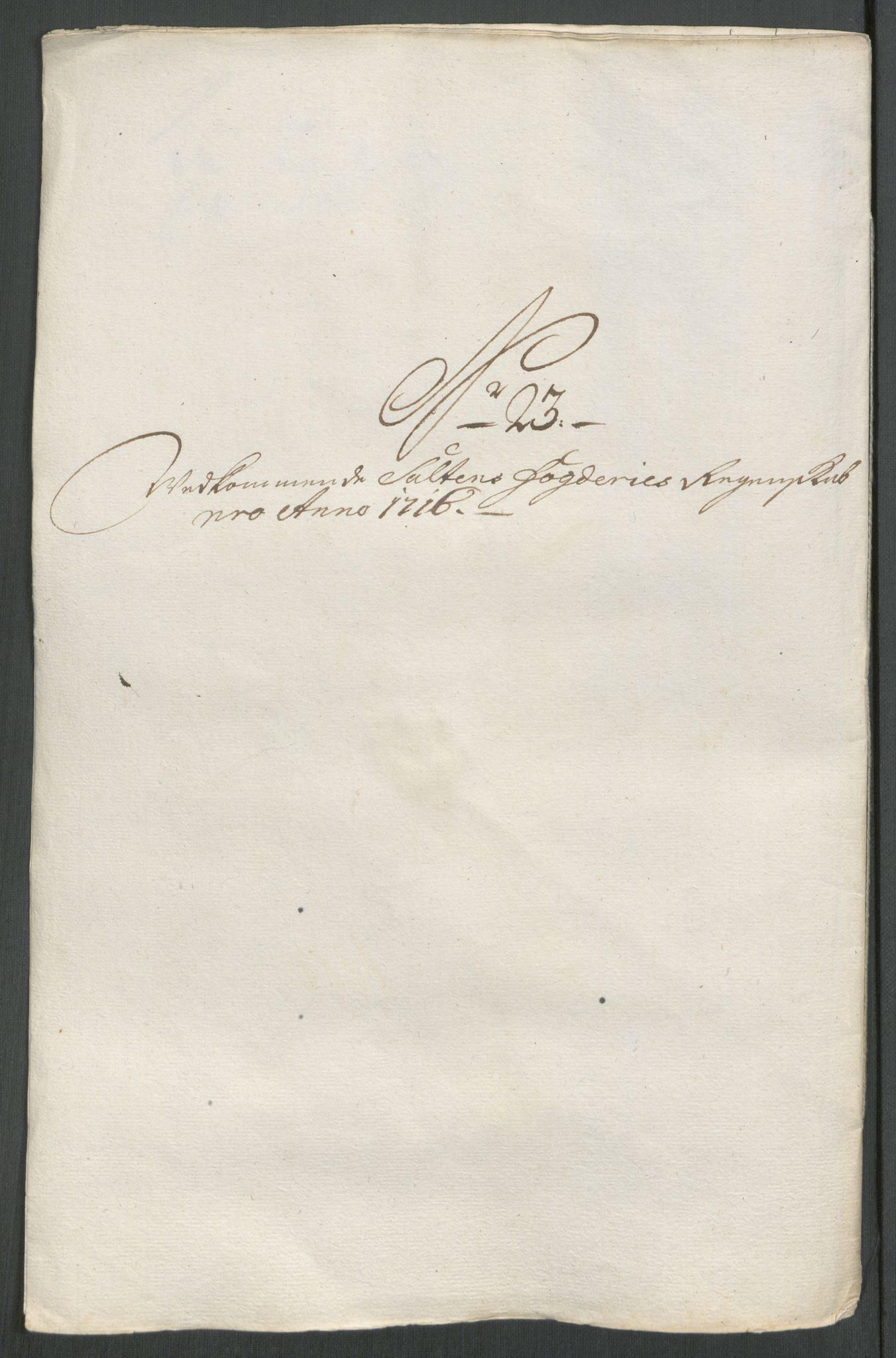 Rentekammeret inntil 1814, Reviderte regnskaper, Fogderegnskap, AV/RA-EA-4092/R66/L4586: Fogderegnskap Salten, 1716, p. 171