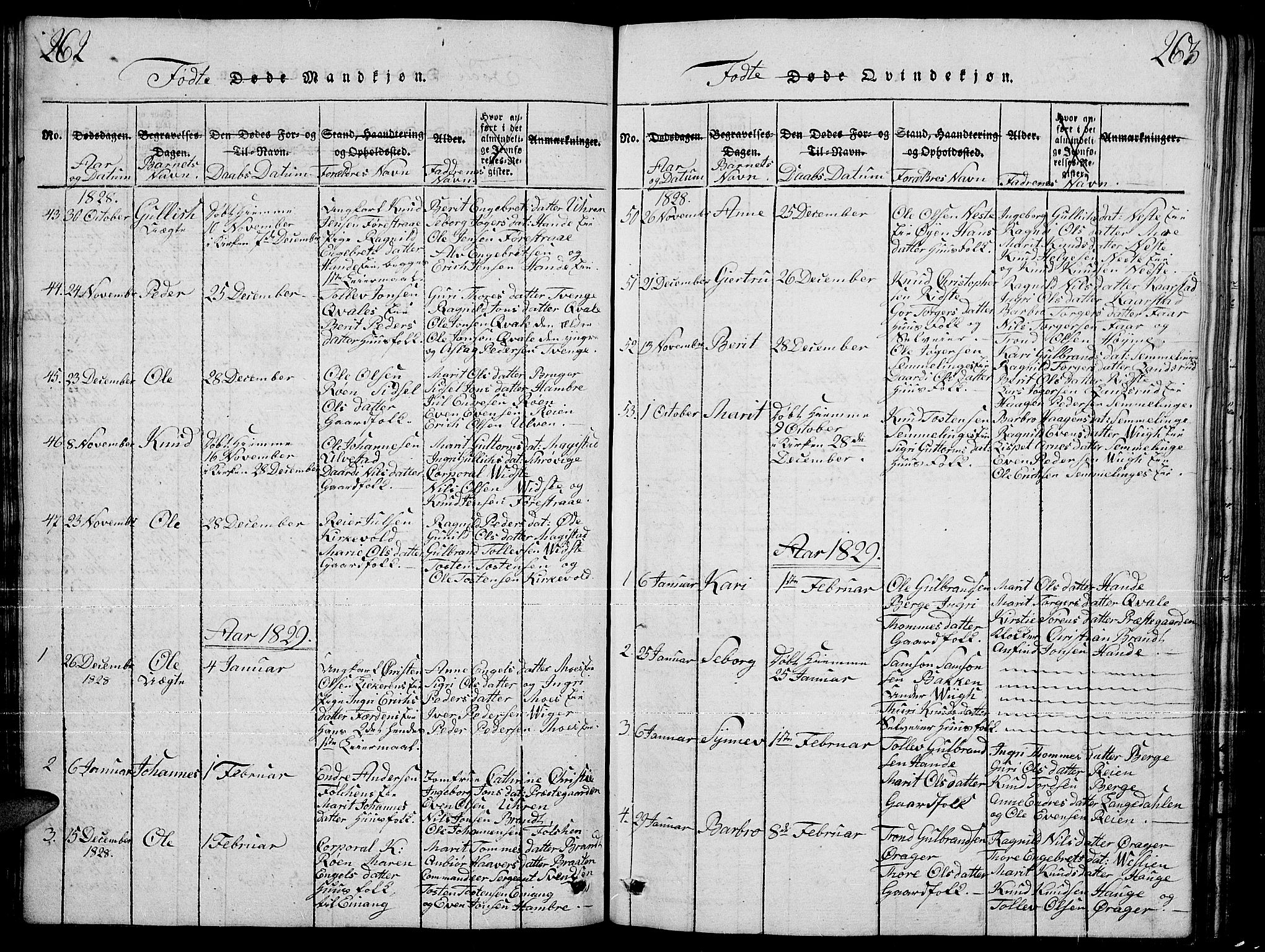 Slidre prestekontor, SAH/PREST-134/H/Ha/Hab/L0001: Parish register (copy) no. 1, 1814-1838, p. 262-263