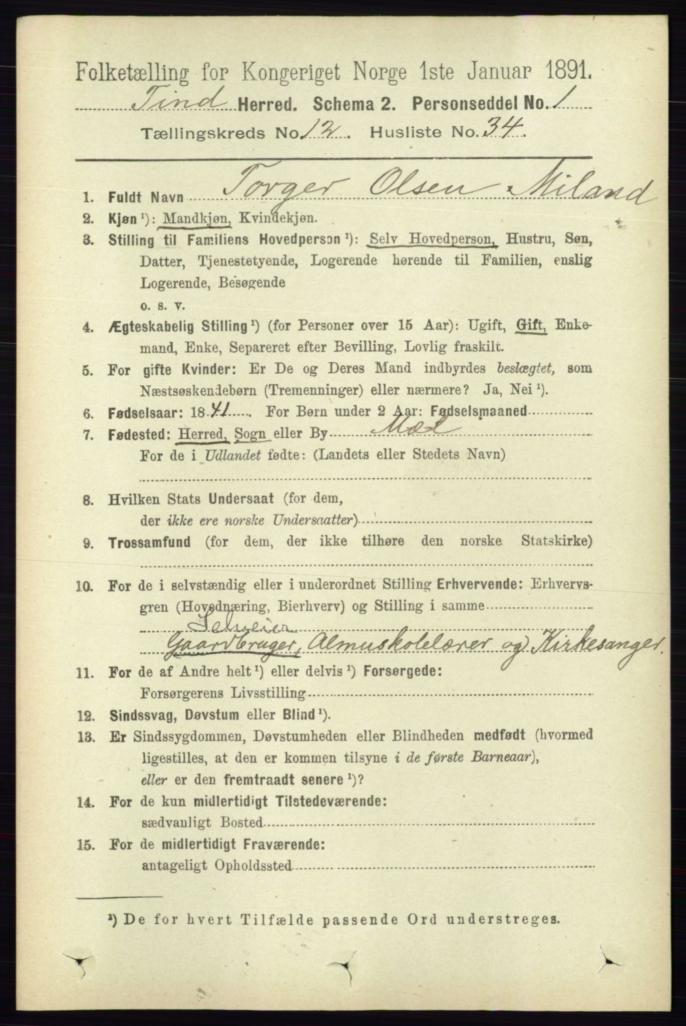 RA, 1891 census for 0826 Tinn, 1891, p. 2508