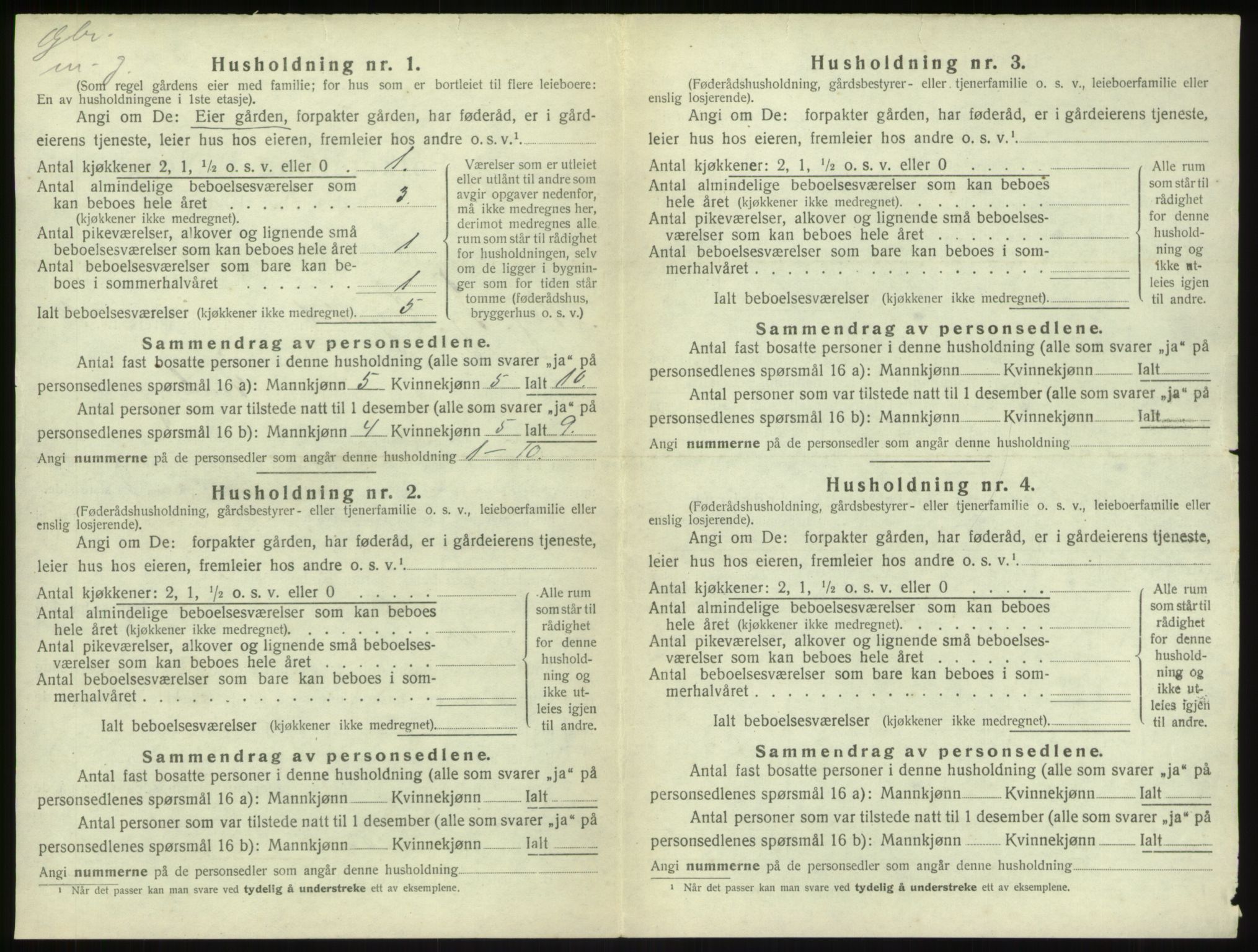 SAB, 1920 census for Sogndal, 1920, p. 1019