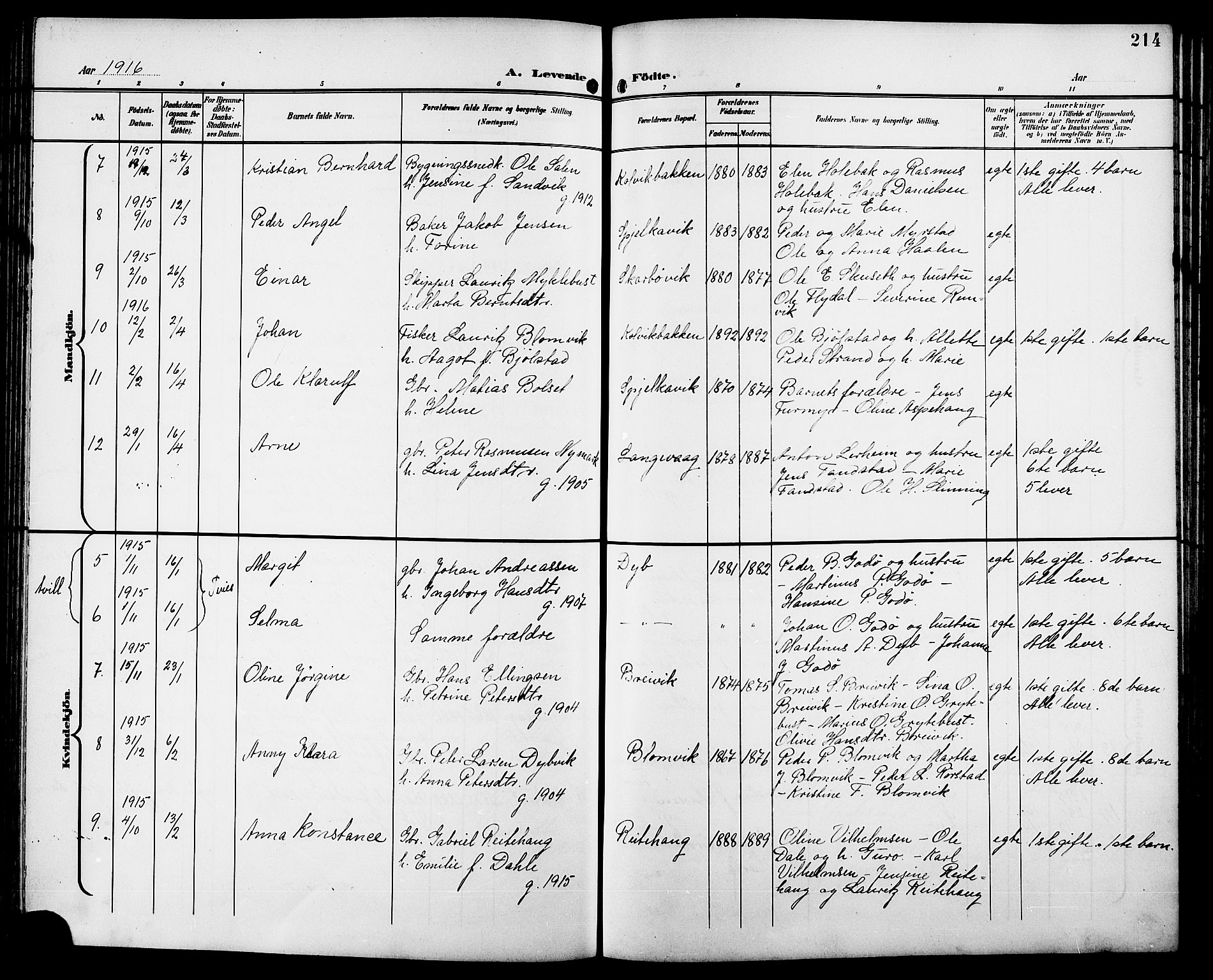 Ministerialprotokoller, klokkerbøker og fødselsregistre - Møre og Romsdal, AV/SAT-A-1454/528/L0432: Parish register (copy) no. 528C13, 1898-1918, p. 214