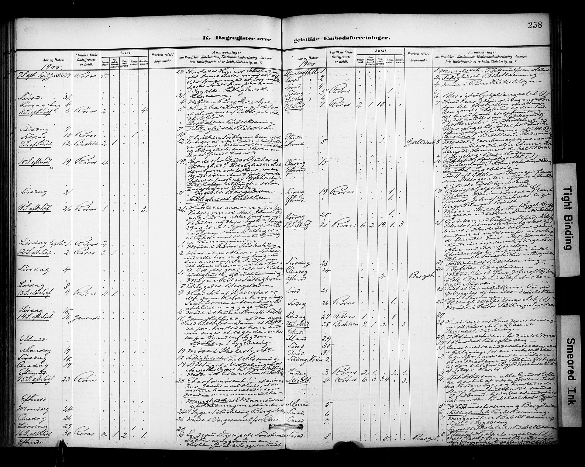 Ministerialprotokoller, klokkerbøker og fødselsregistre - Sør-Trøndelag, AV/SAT-A-1456/681/L0936: Parish register (official) no. 681A14, 1899-1908, p. 258