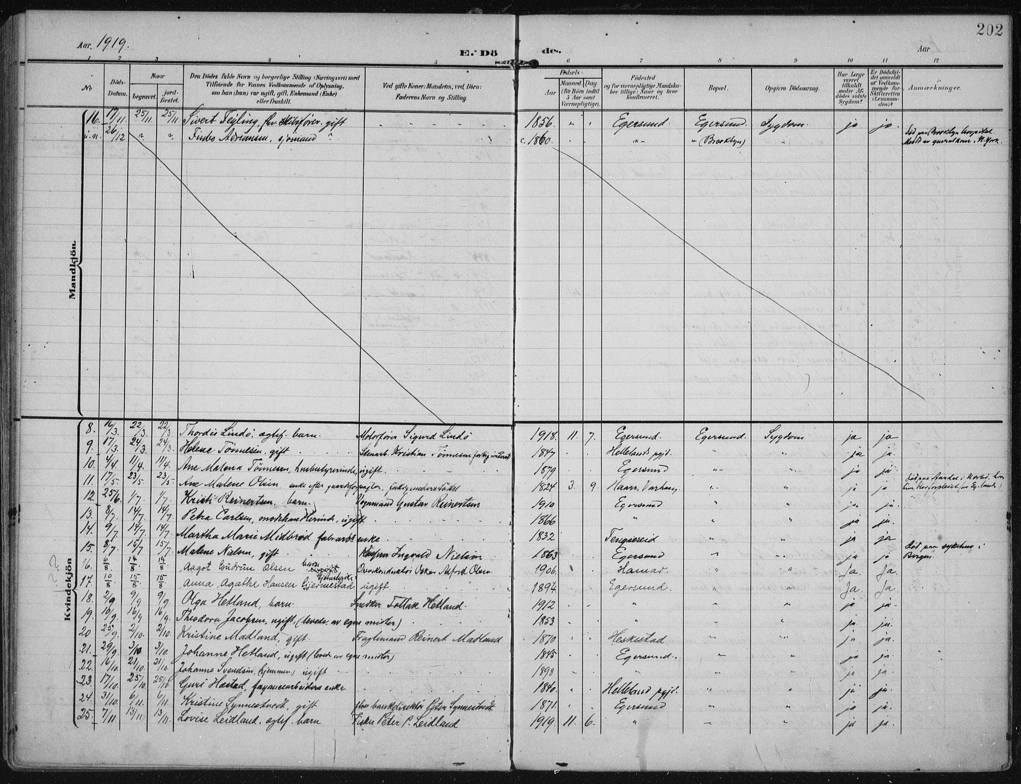 Eigersund sokneprestkontor, AV/SAST-A-101807/S08/L0022: Parish register (official) no. A 21, 1905-1928, p. 202