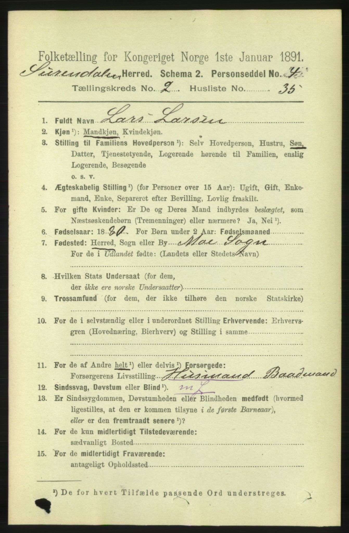 RA, 1891 census for 1566 Surnadal, 1891, p. 738