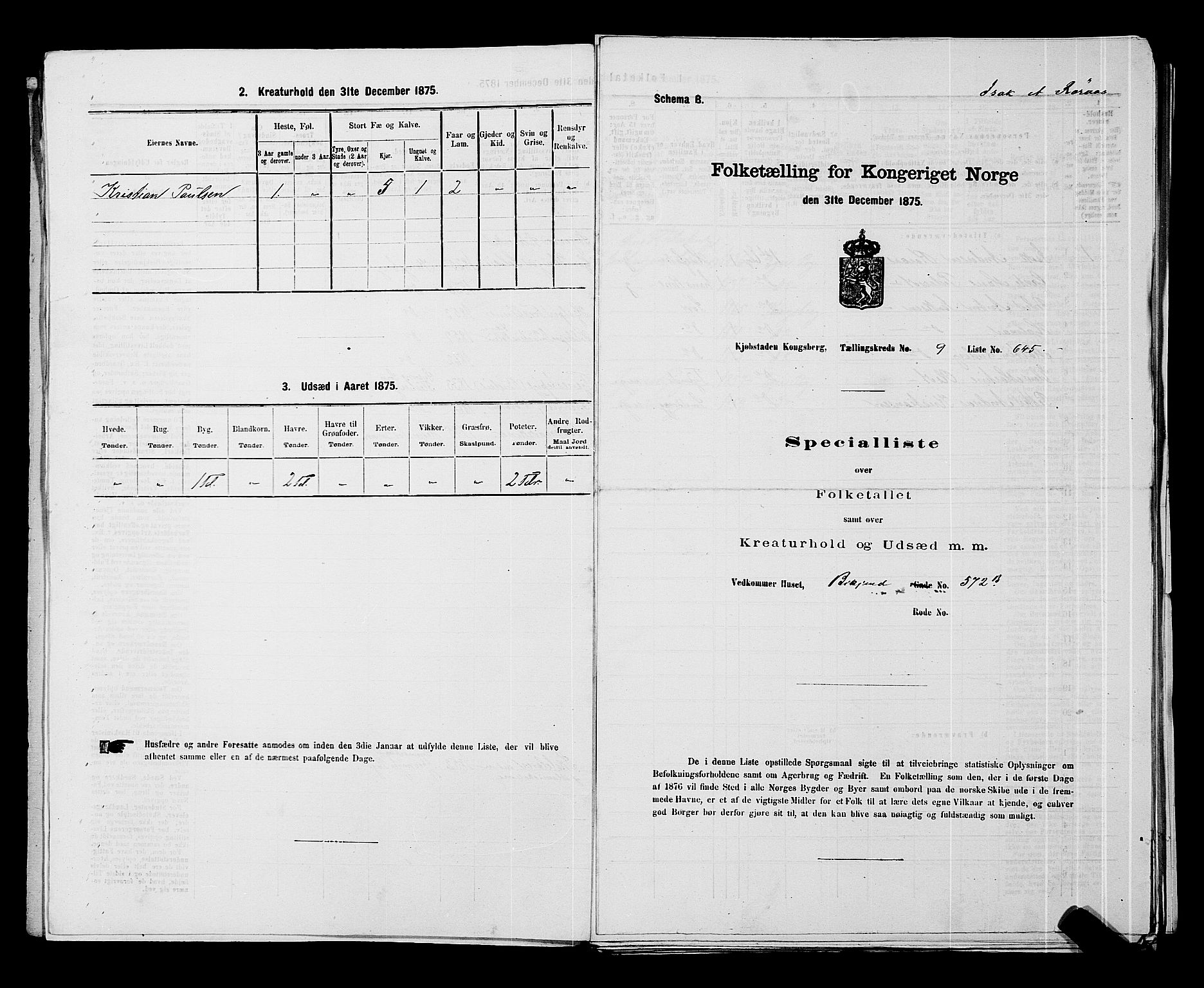 SAKO, 1875 census for 0604B Kongsberg/Kongsberg, 1875, p. 1424