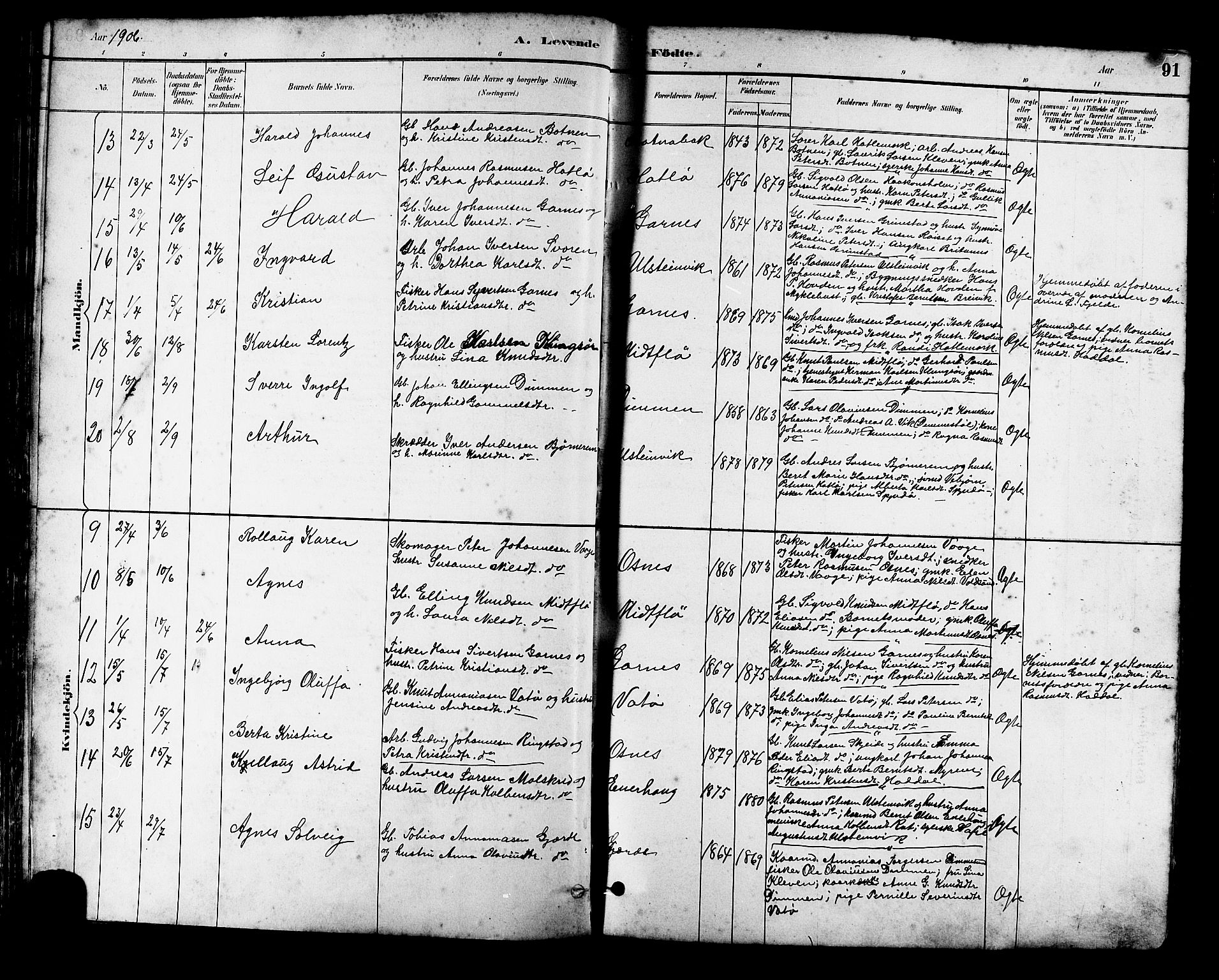 Ministerialprotokoller, klokkerbøker og fødselsregistre - Møre og Romsdal, SAT/A-1454/509/L0112: Parish register (copy) no. 509C02, 1883-1922, p. 91