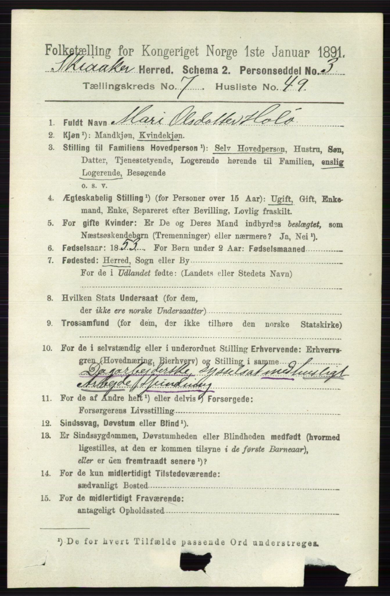 RA, 1891 census for 0513 Skjåk, 1891, p. 2598