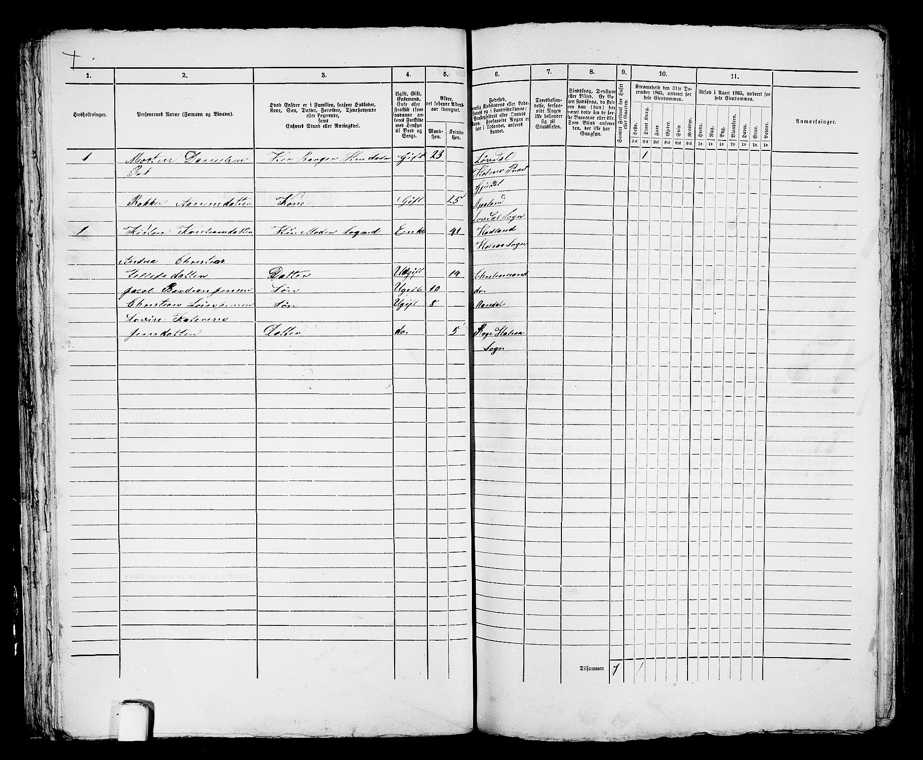 RA, 1865 census for Mandal/Mandal, 1865, p. 522