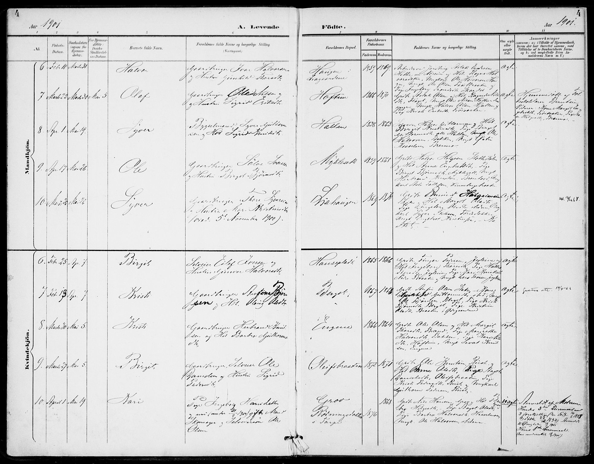 Gol kirkebøker, SAKO/A-226/F/Fa/L0006: Parish register (official) no. I 6, 1901-1918, p. 4