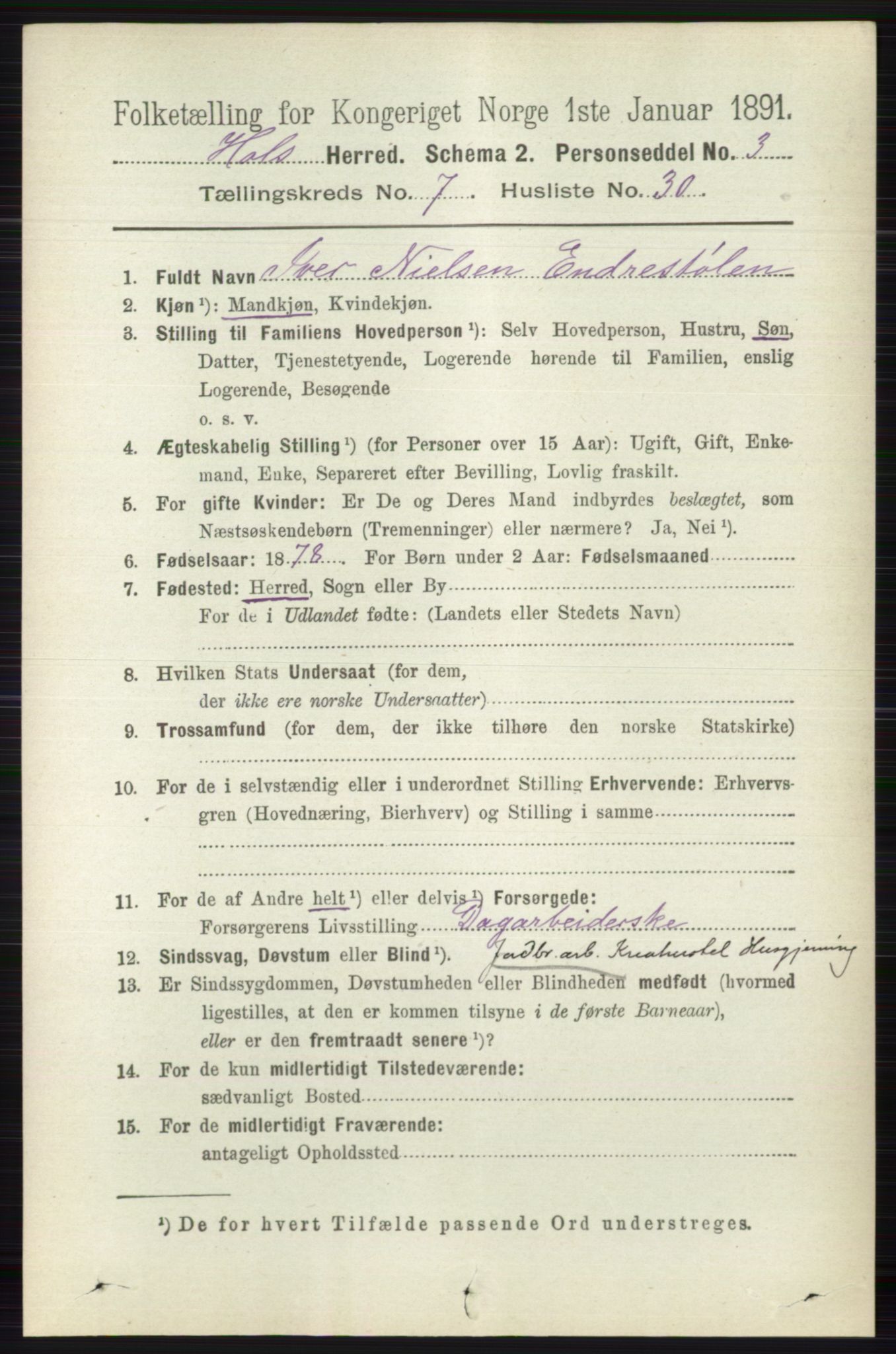 RA, 1891 census for 0620 Hol, 1891, p. 2196