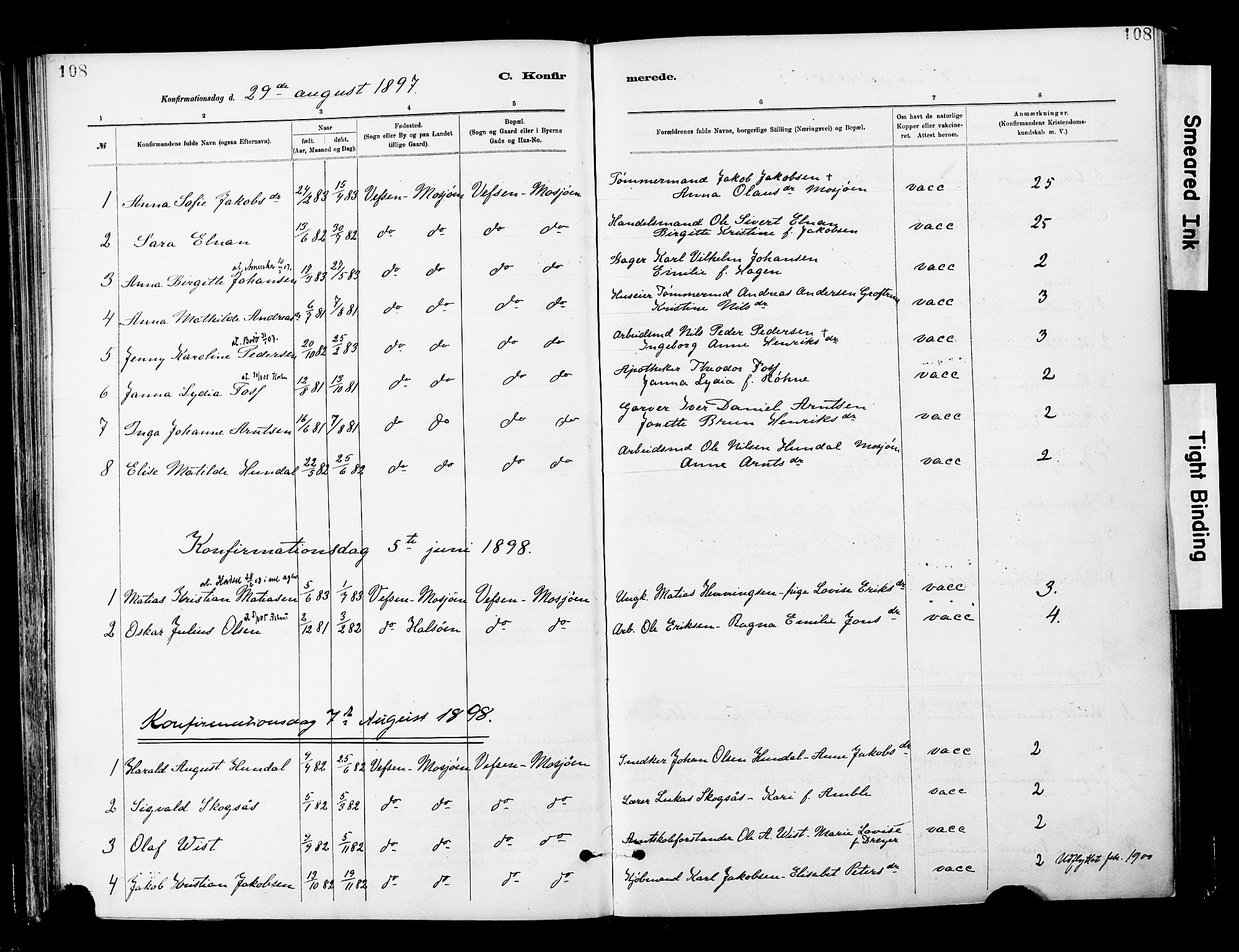 Ministerialprotokoller, klokkerbøker og fødselsregistre - Nordland, AV/SAT-A-1459/820/L0296: Parish register (official) no. 820A17, 1880-1903, p. 108