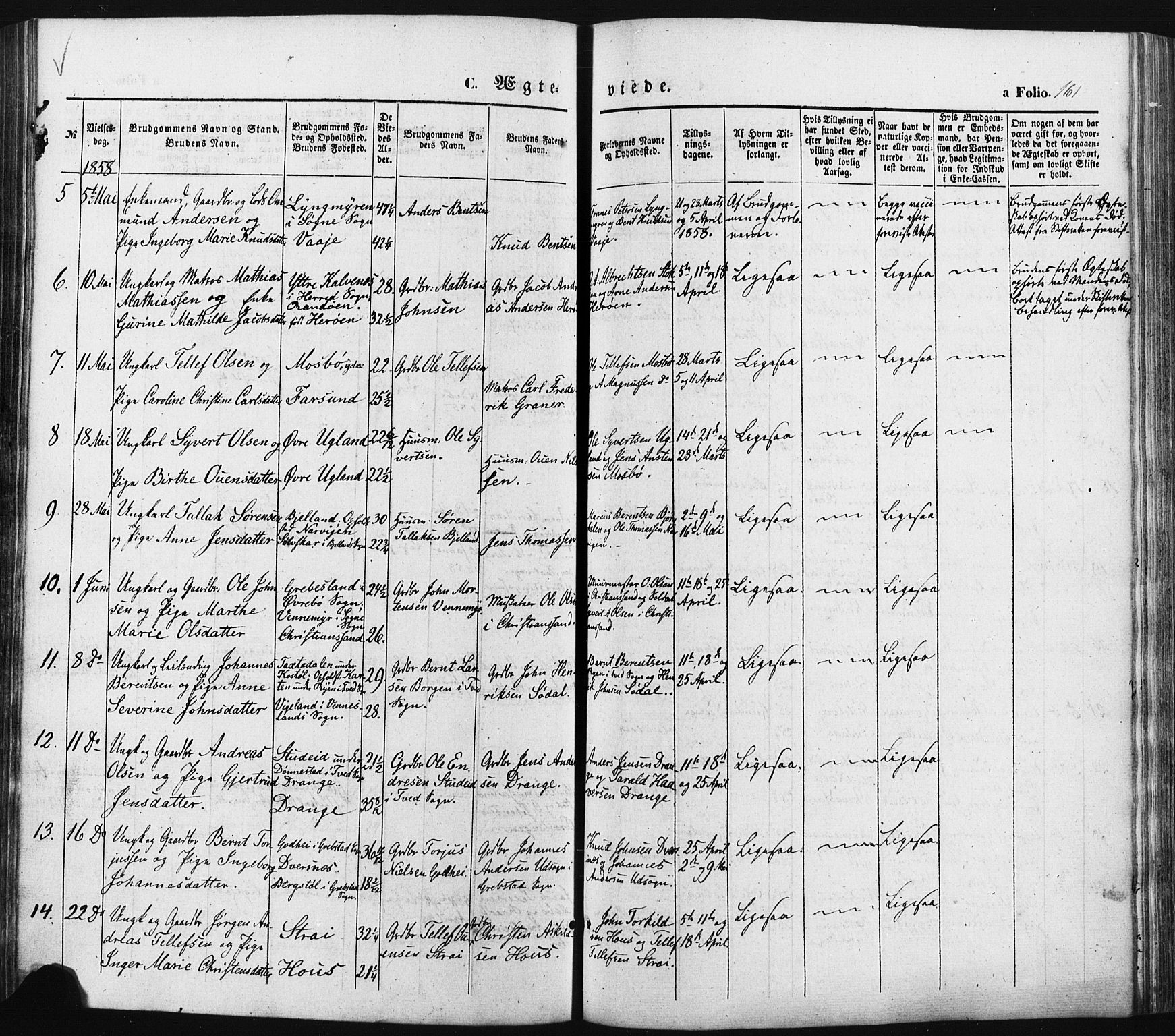 Oddernes sokneprestkontor, AV/SAK-1111-0033/F/Fa/Faa/L0007: Parish register (official) no. A 7, 1851-1863, p. 161