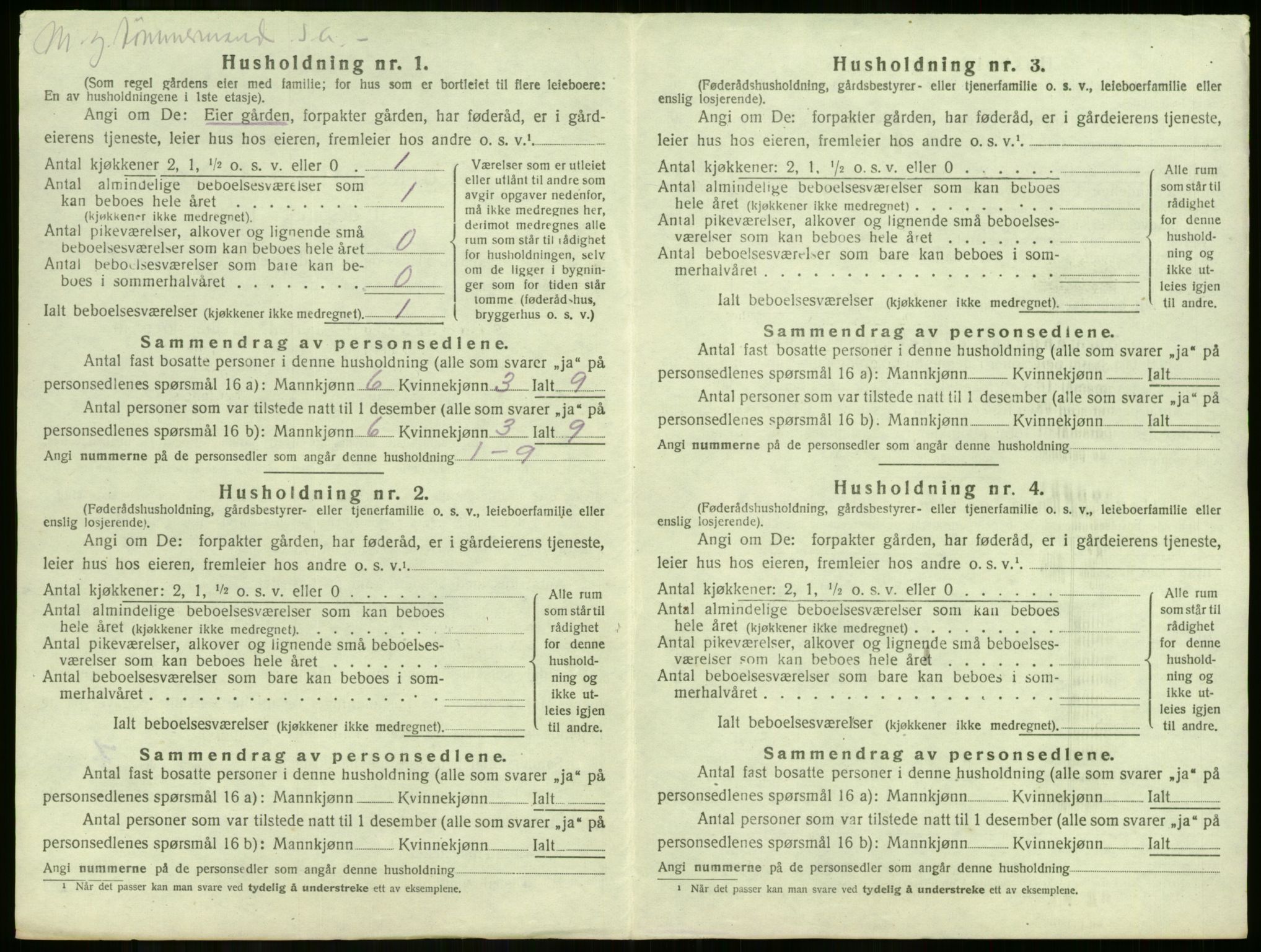 SAKO, 1920 census for Krødsherad, 1920, p. 33